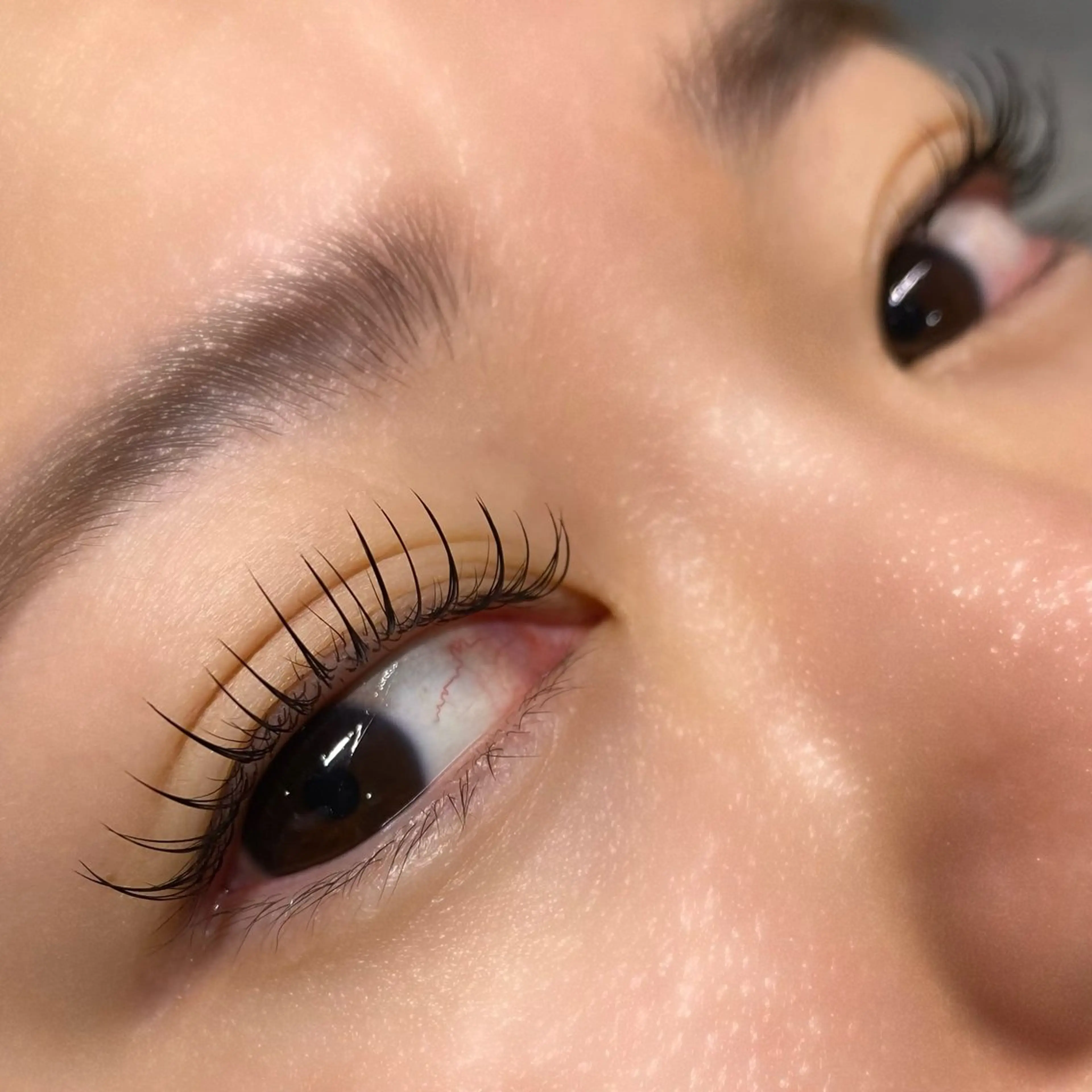 【パリエク】パリジェンヌラッシュリフト×最高級セーブル💎100本💎の写真