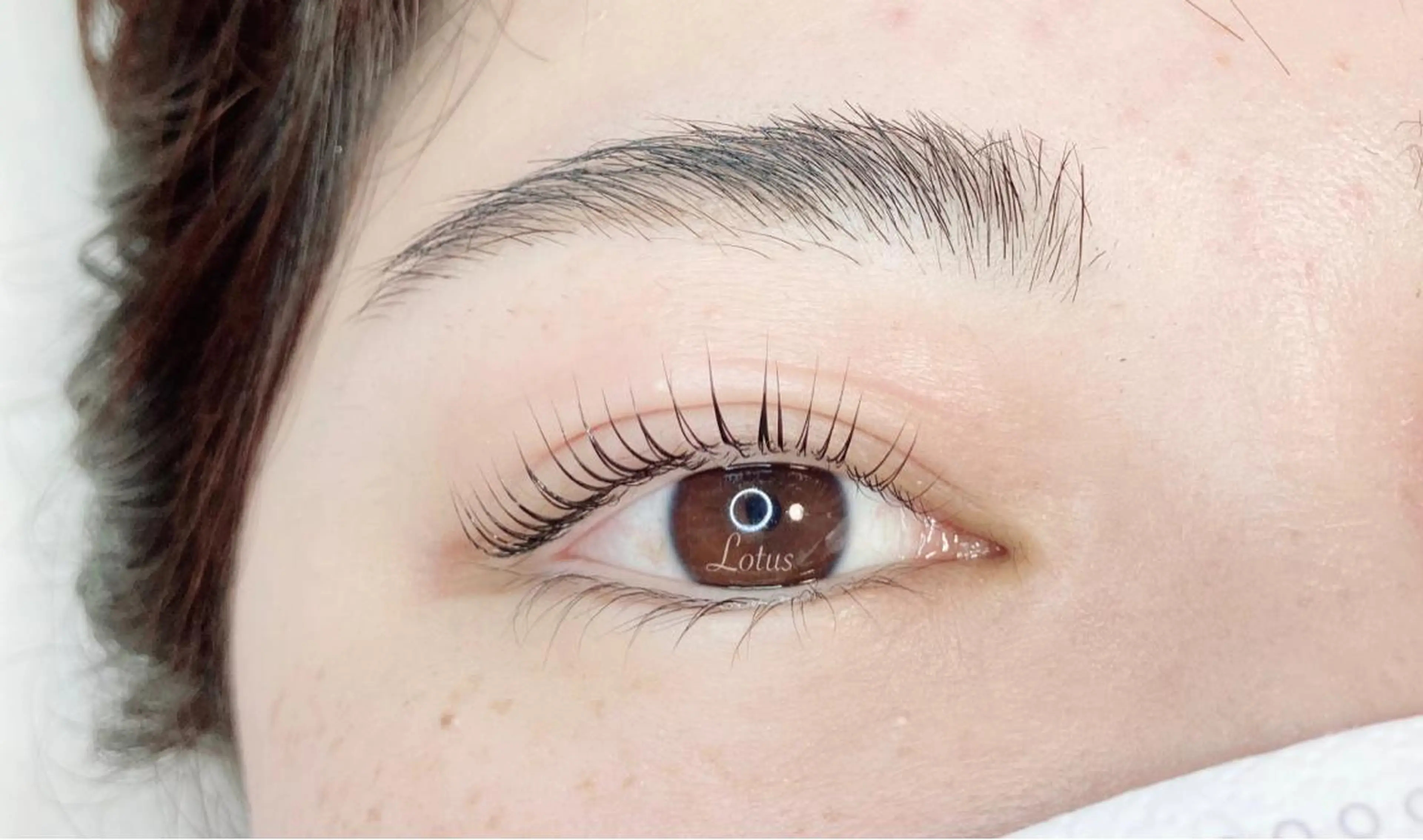 マツエク・マツパ Lotus所属・Lotus ロータスのマツエク・マツパデザイン