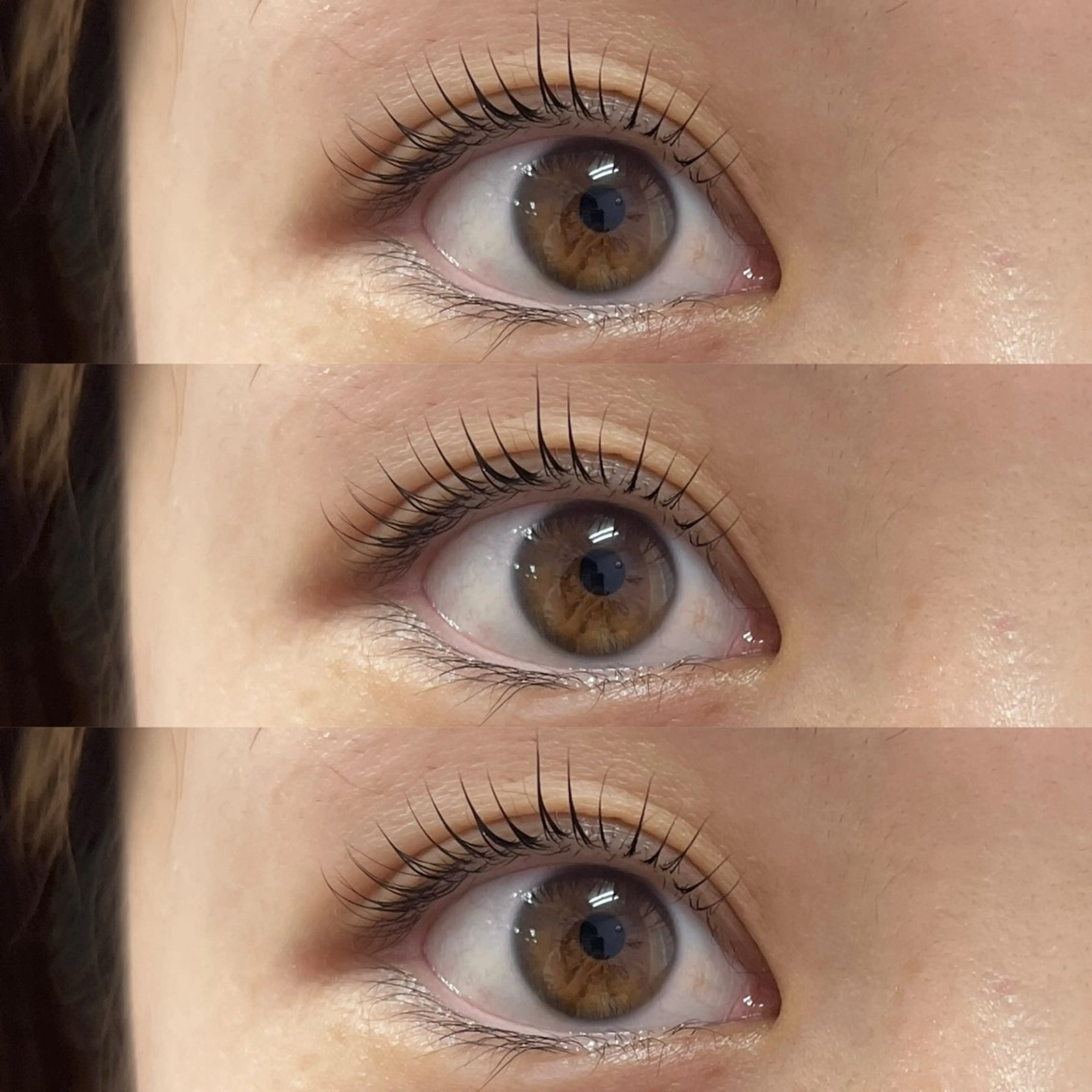 【初回】パリジェンヌorまつげパーマ🪽の写真