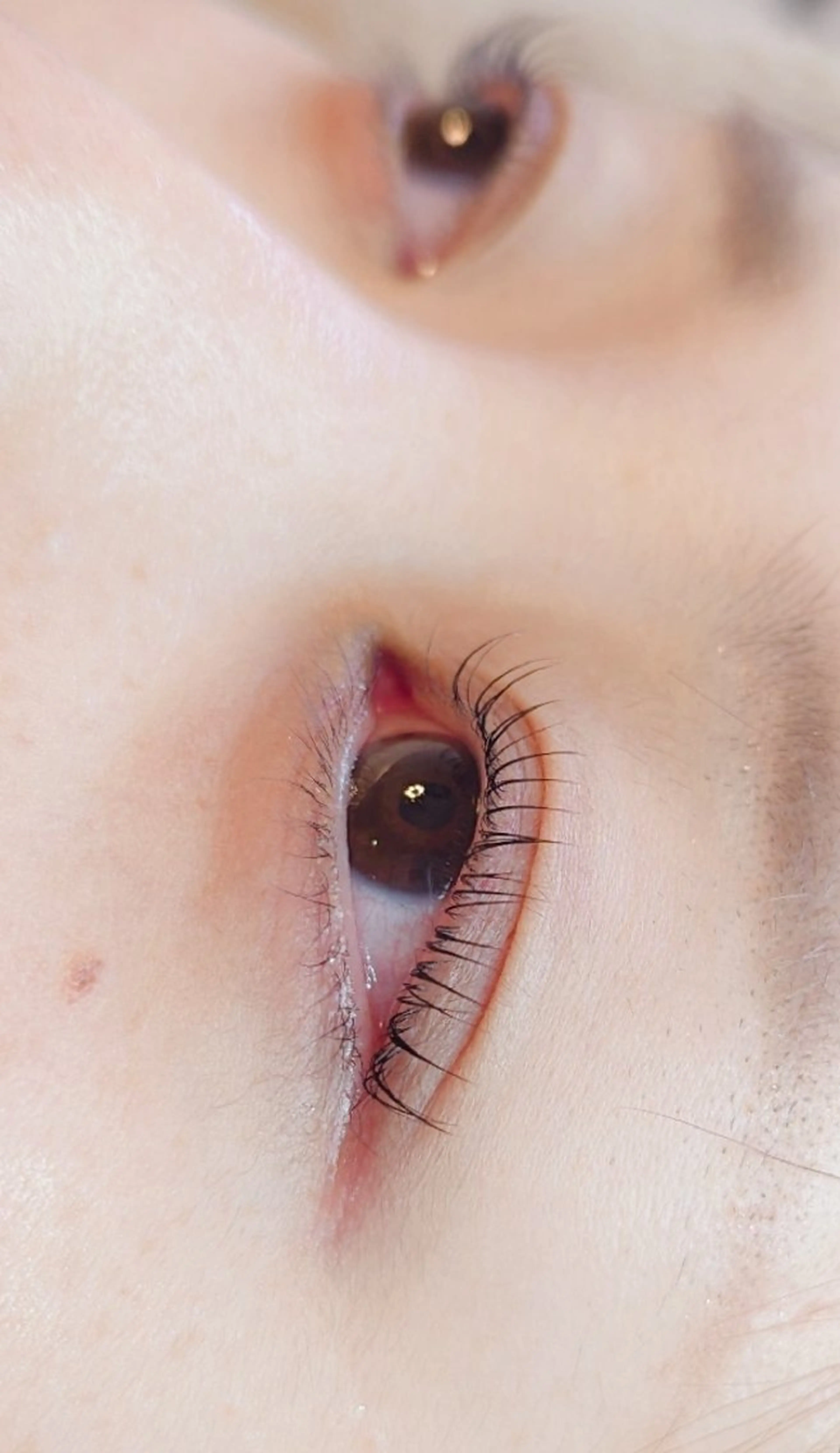 マツエク・マツパ マツパ ikumi  watanabeのエステ・リラクイメージ