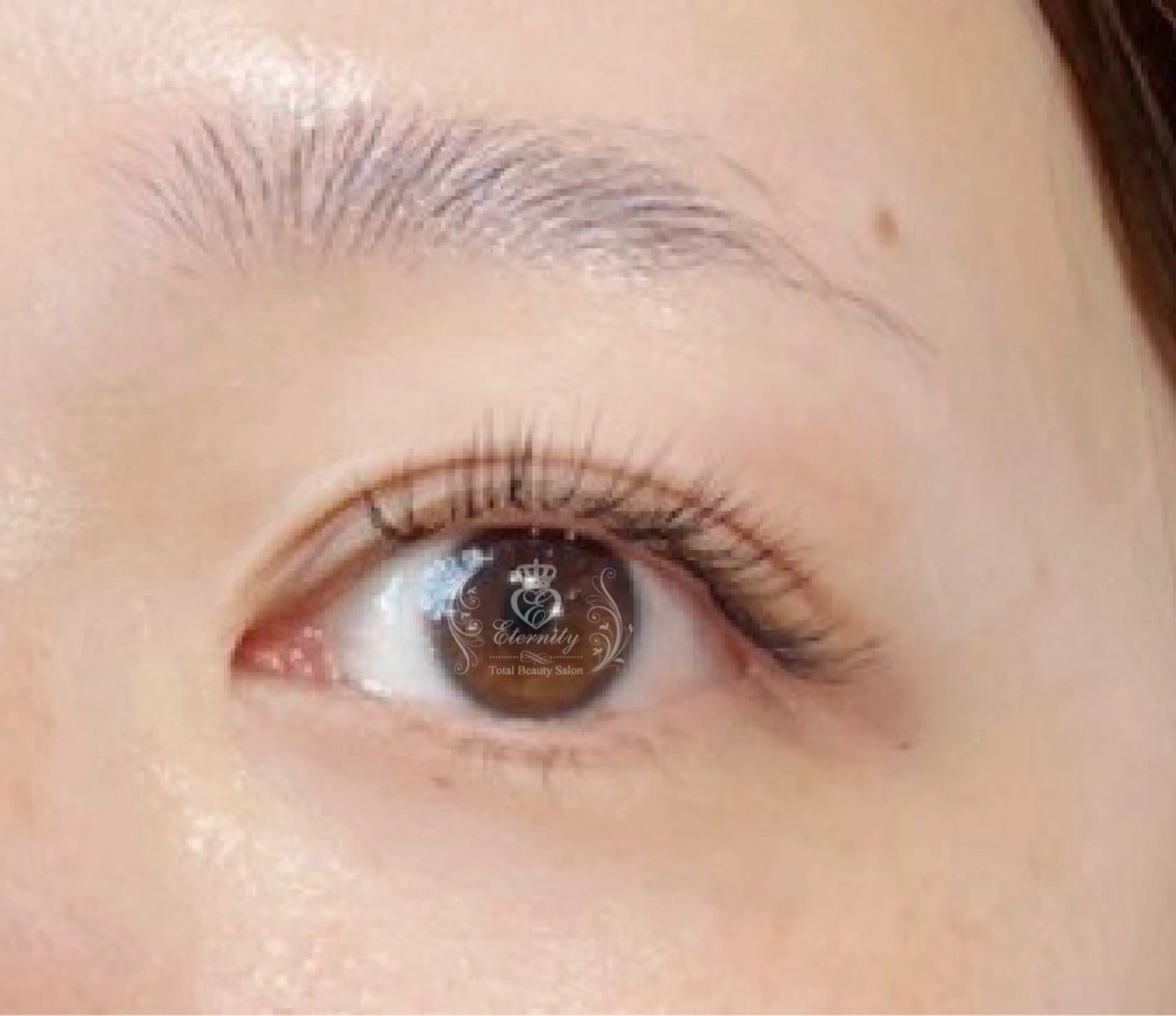 【持続性抜群‼︎】バインドロック／ダブルフラット100束　¥4675の写真