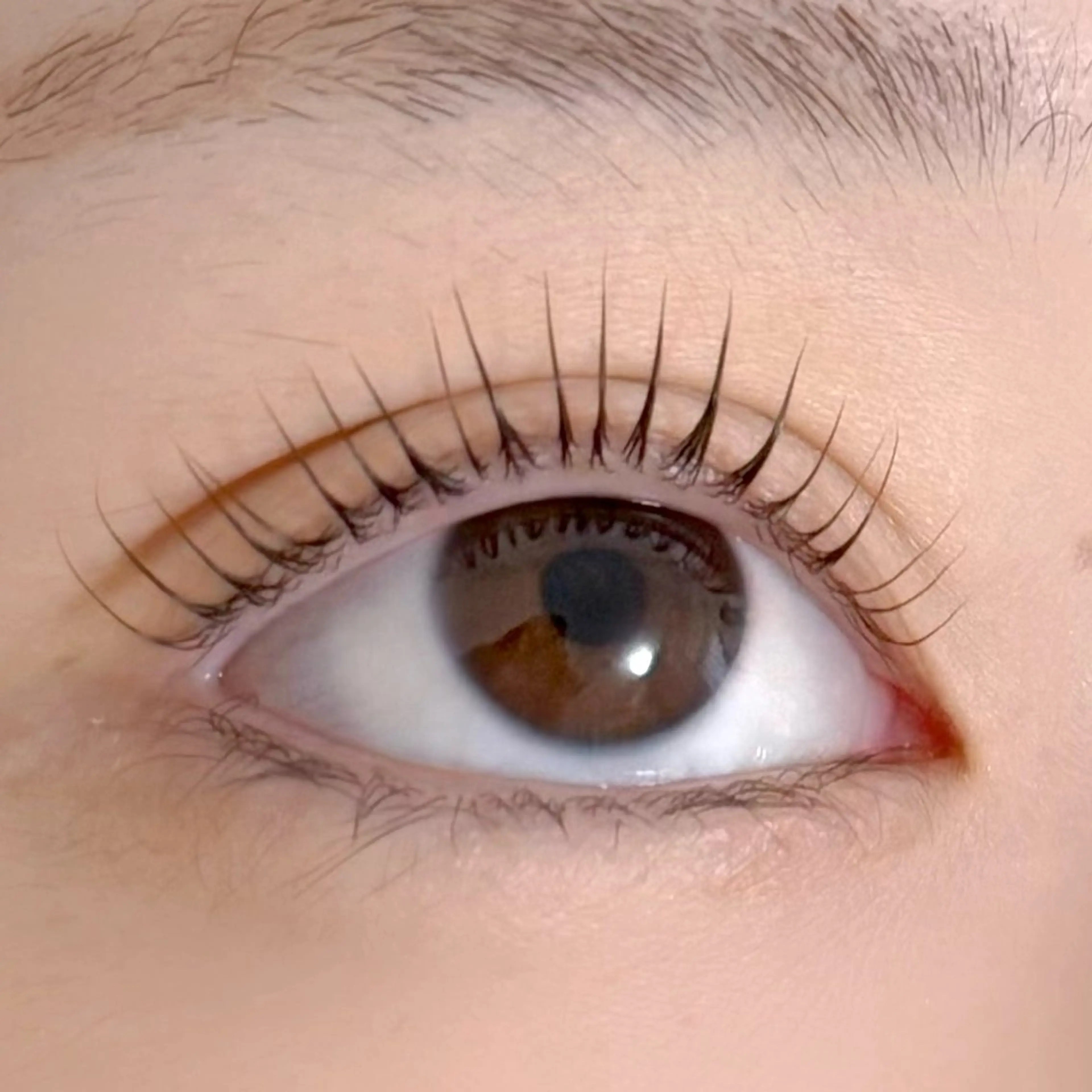 マツエク・マツパ マツパ 福山 愛佳のマツエク・マツパデザイン