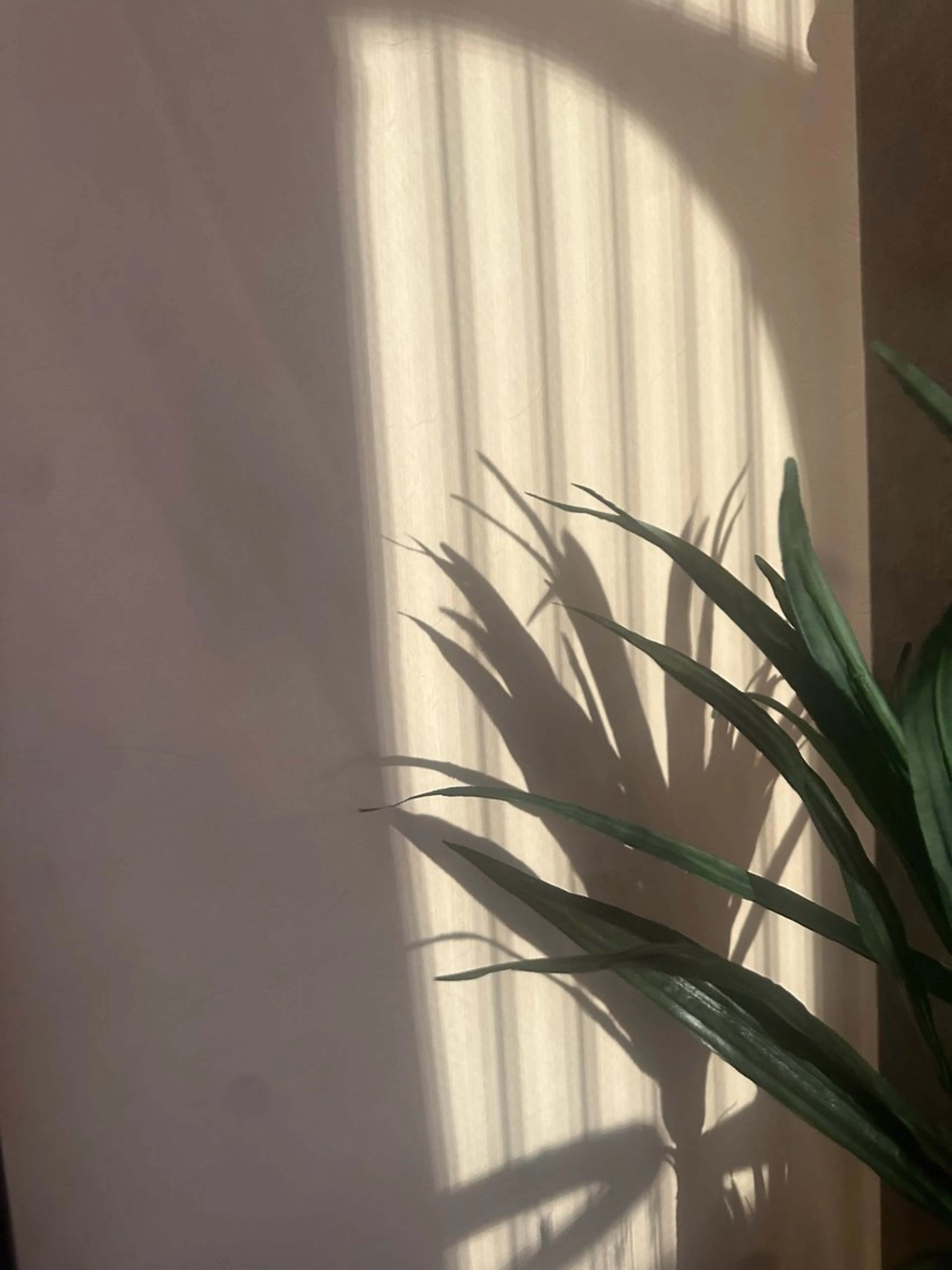 エステ リラク foi🌿 Samiraのその他イメージ