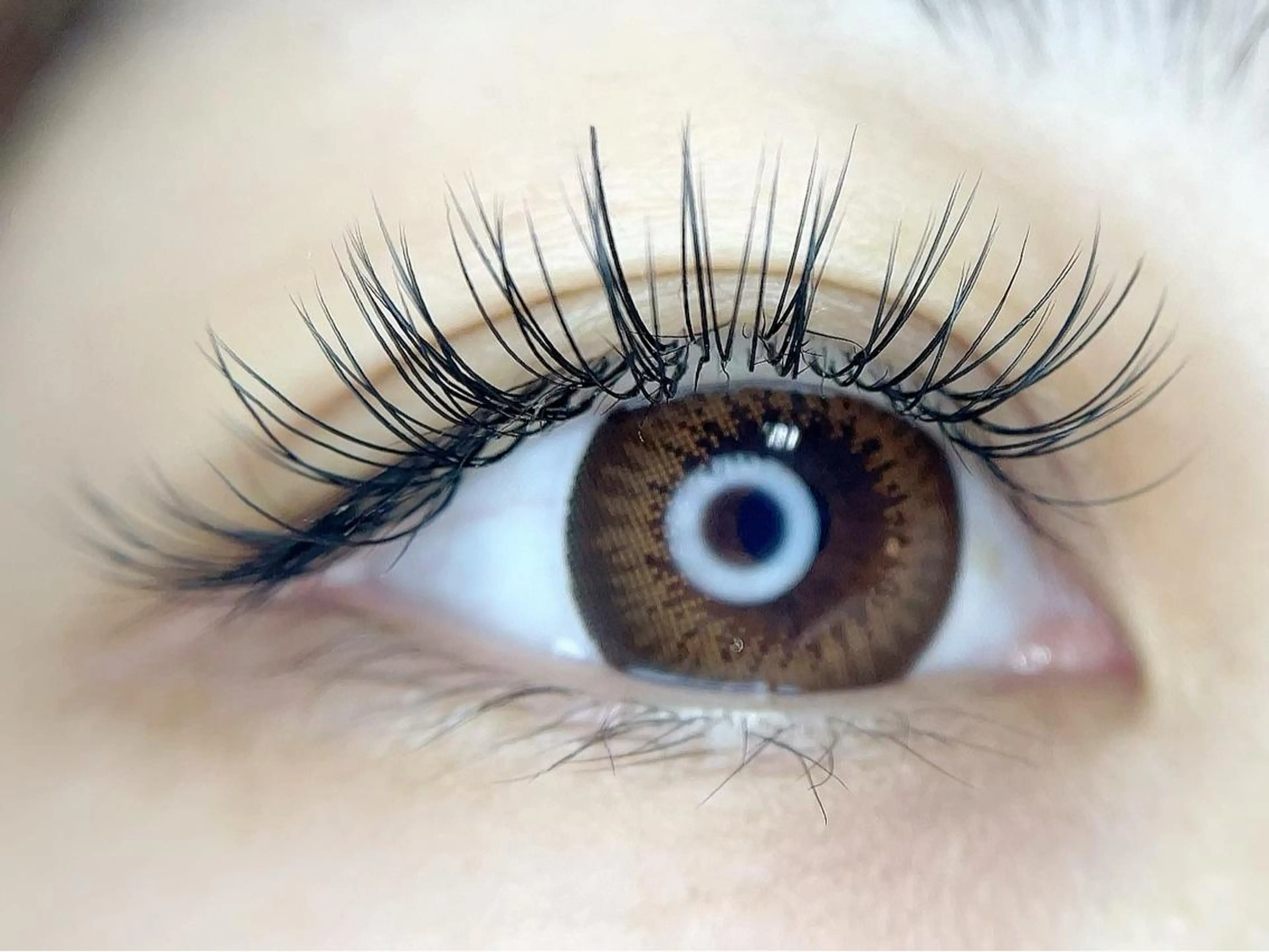 マツエク・マツパ Ray所属・saki ❥のマツエク・マツパデザイン