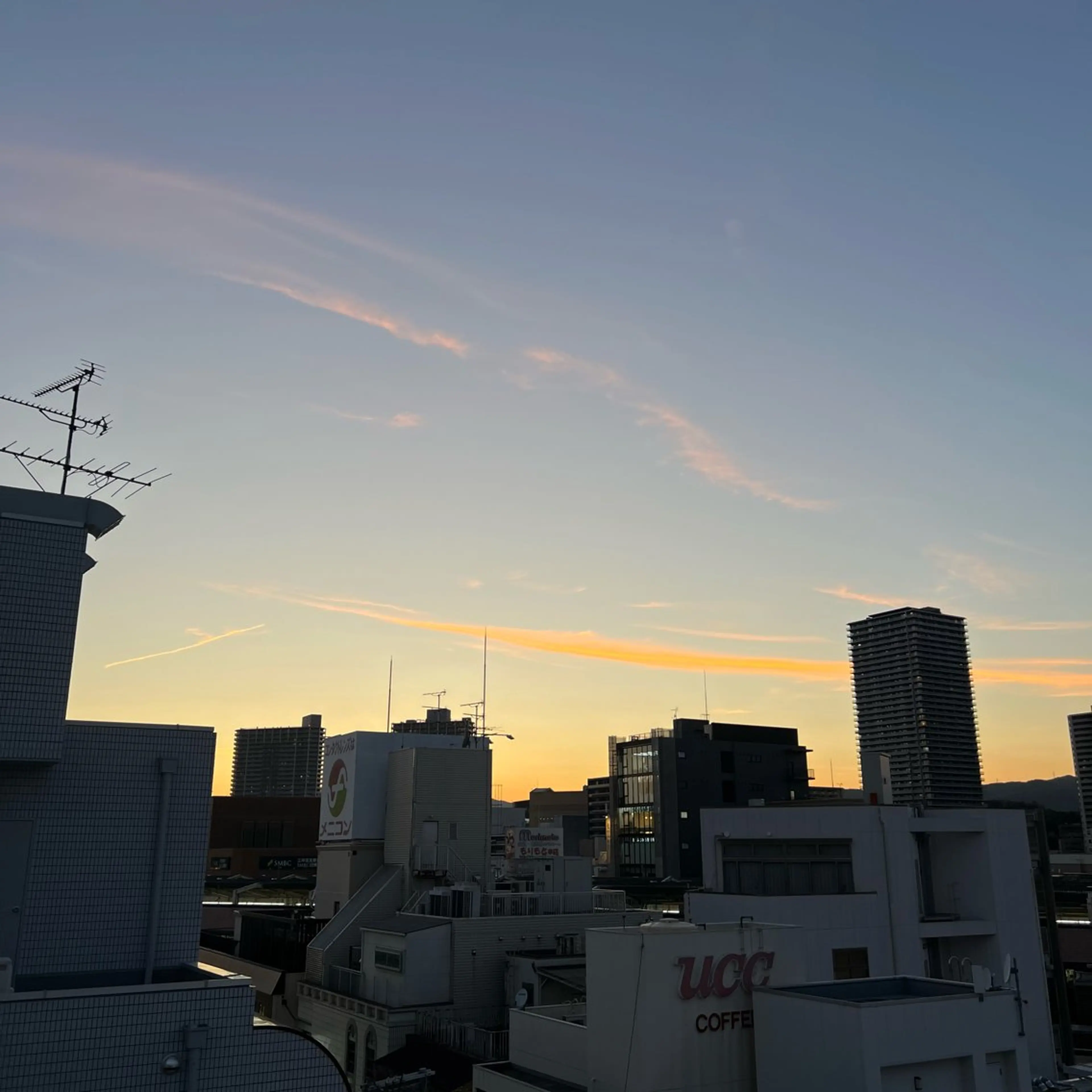 TIDEHAIR SHIHOのヘアスタイル