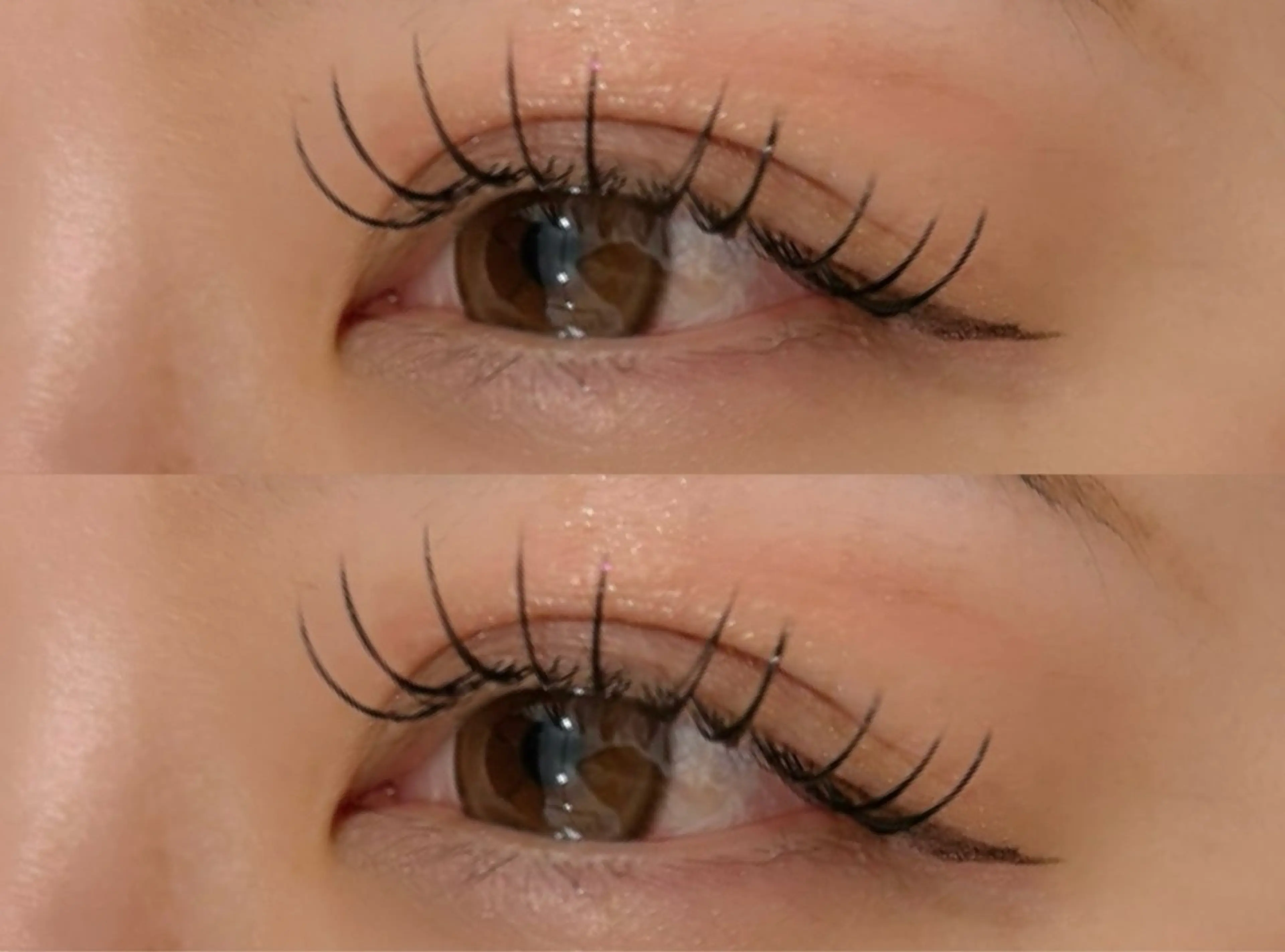 フラットラッシュ140本+アイシャンプー🧴の写真