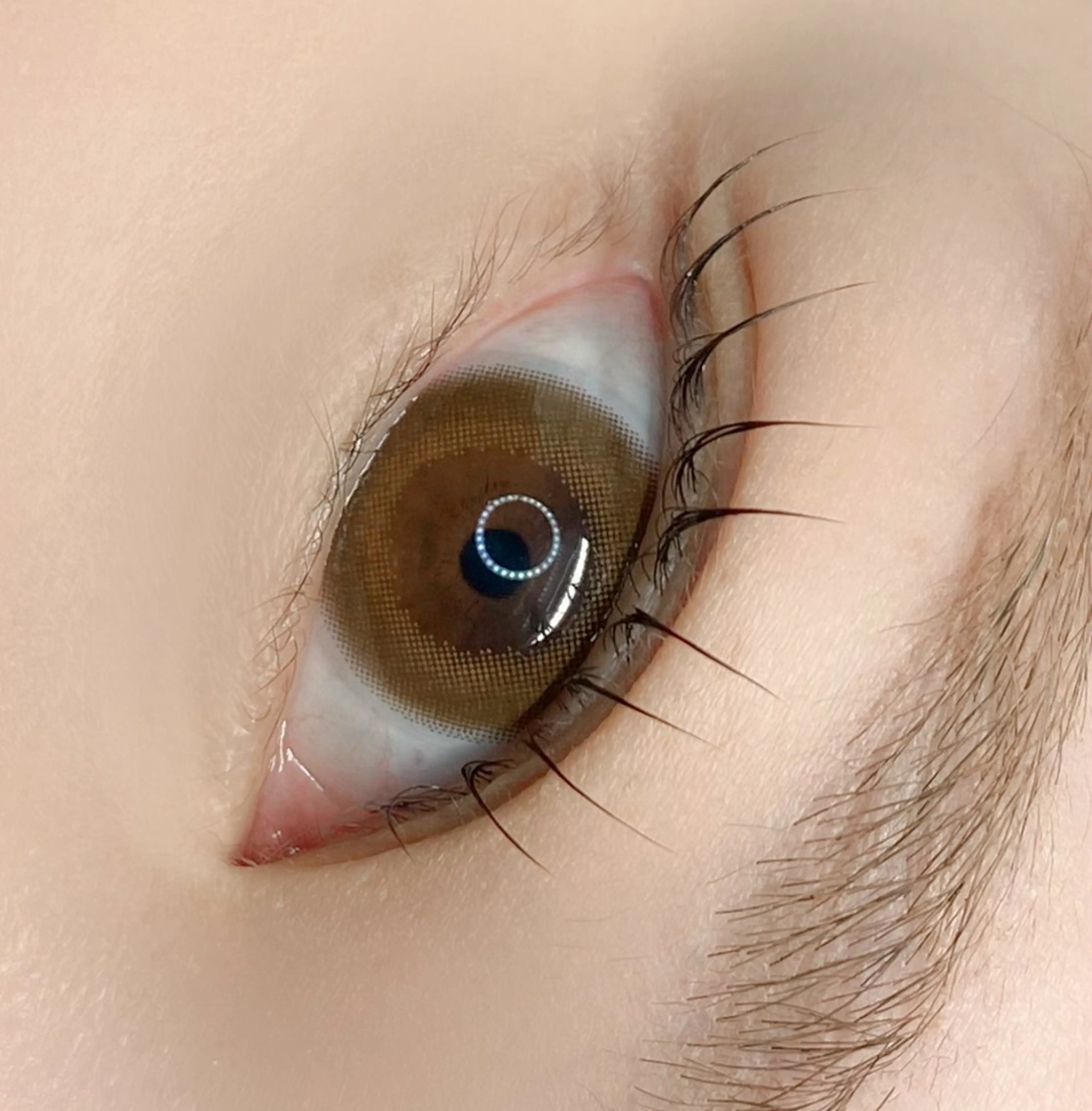 <ミニモ学割> U24歳限定✮*｡ﾟ上Lash Lift ✮*｡ﾟの写真