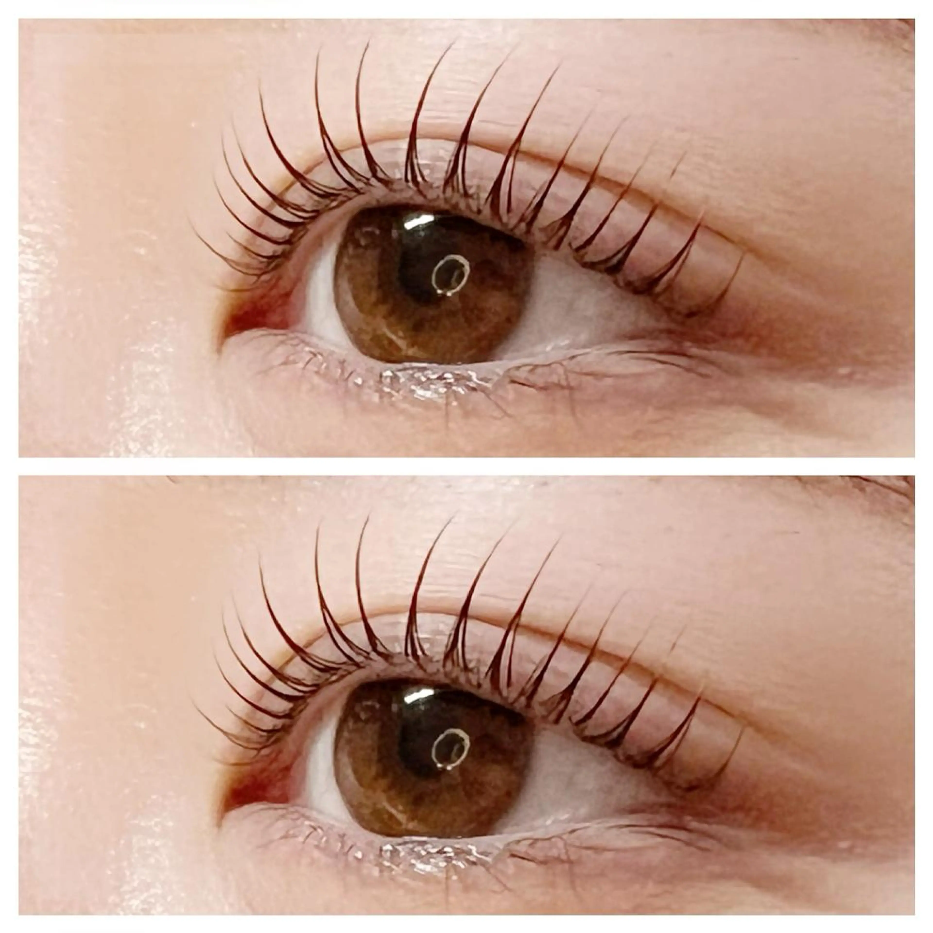 【コーティング付𓍯】まつ毛パーマの写真