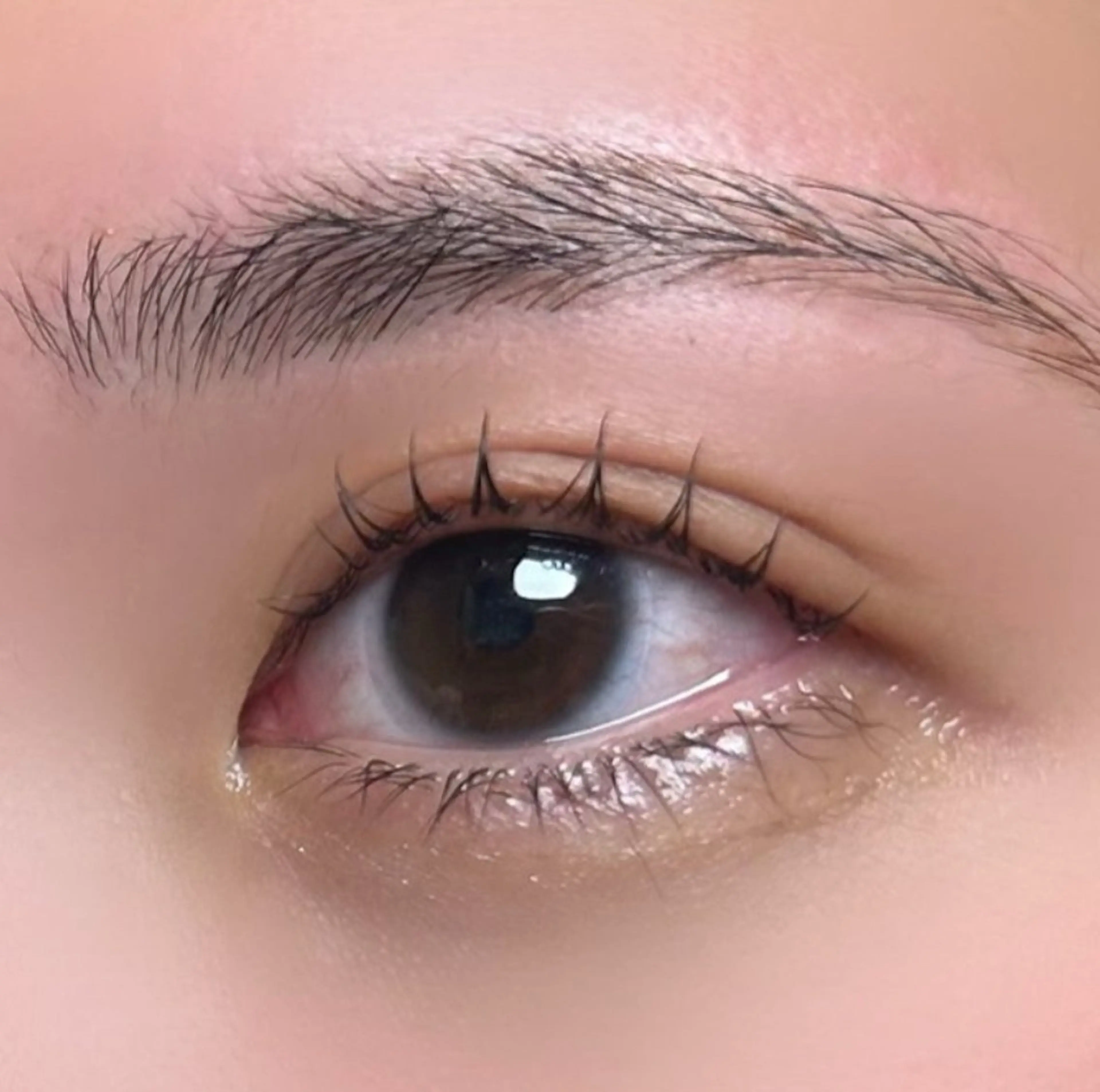 マツエク・マツパ 👑𝐊𝐢𝐧𝐠 心斎橋店🎀美麗のマツエク・マツパデザイン