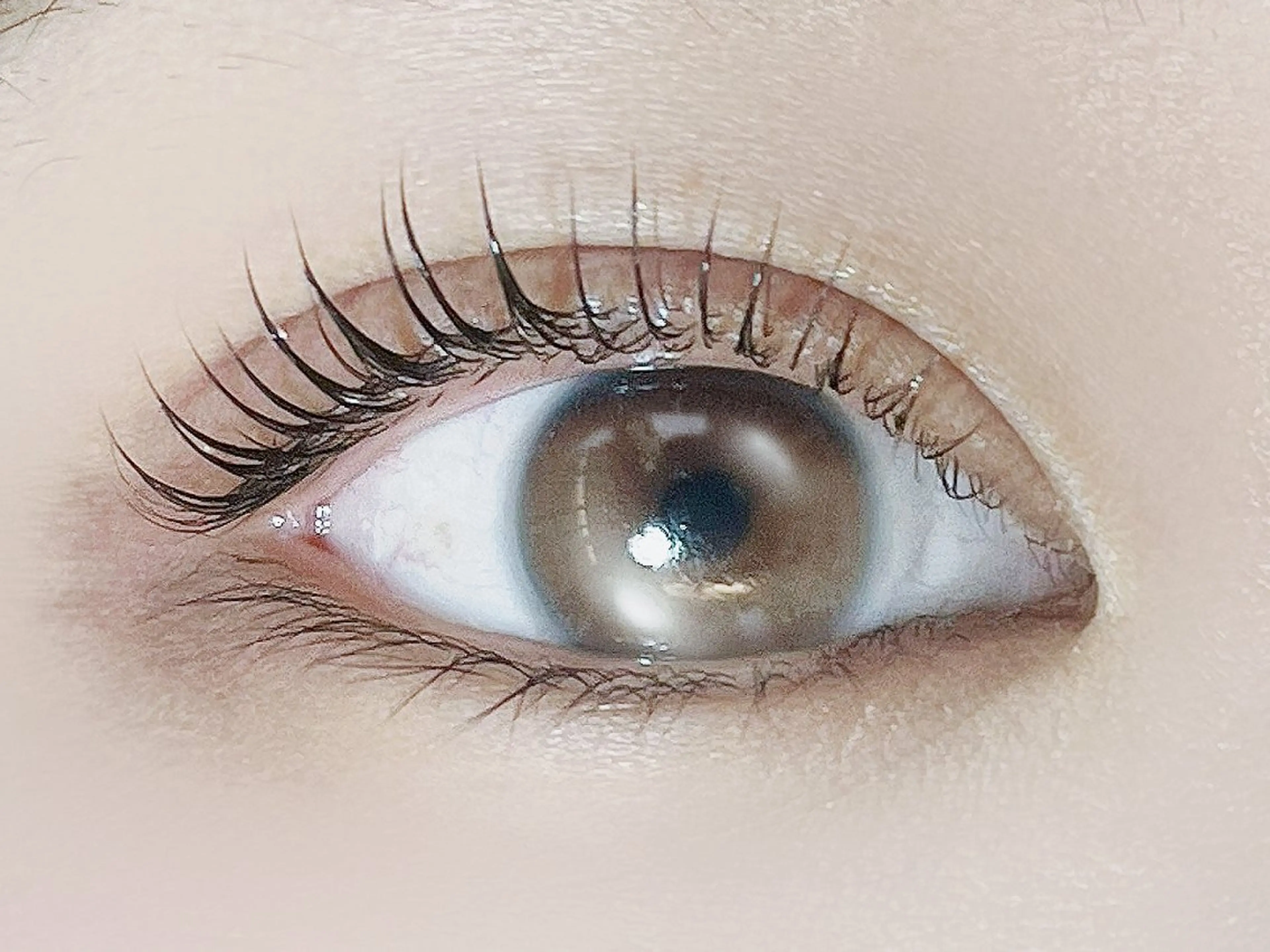 マツエク・マツパ SalonEF 名駅店所属・SalonEF 芽生/MEIのマツエク・マツパデザイン