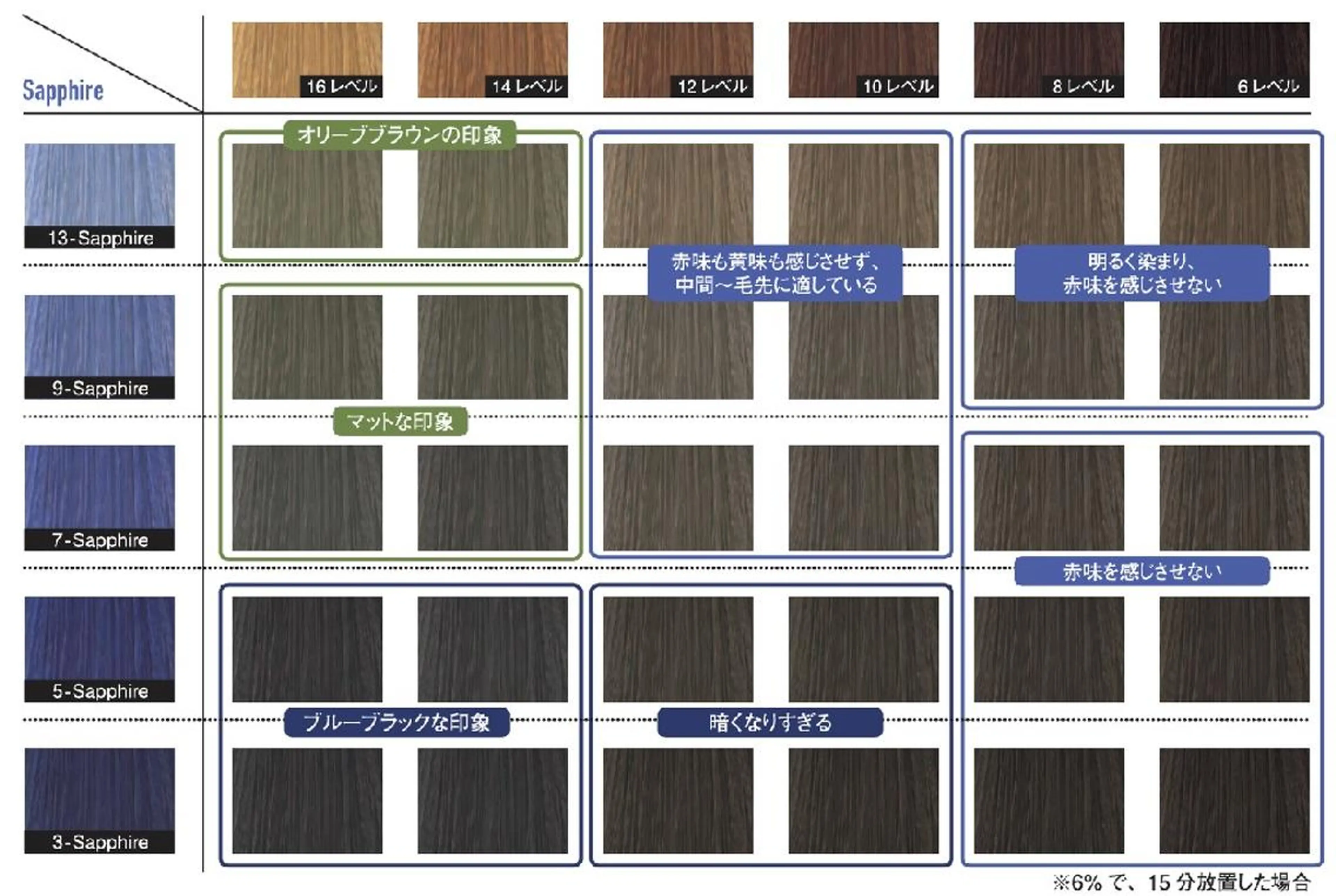 1月17日(水) アディクシーカラーレシピ 9レベルのサファイアをベース