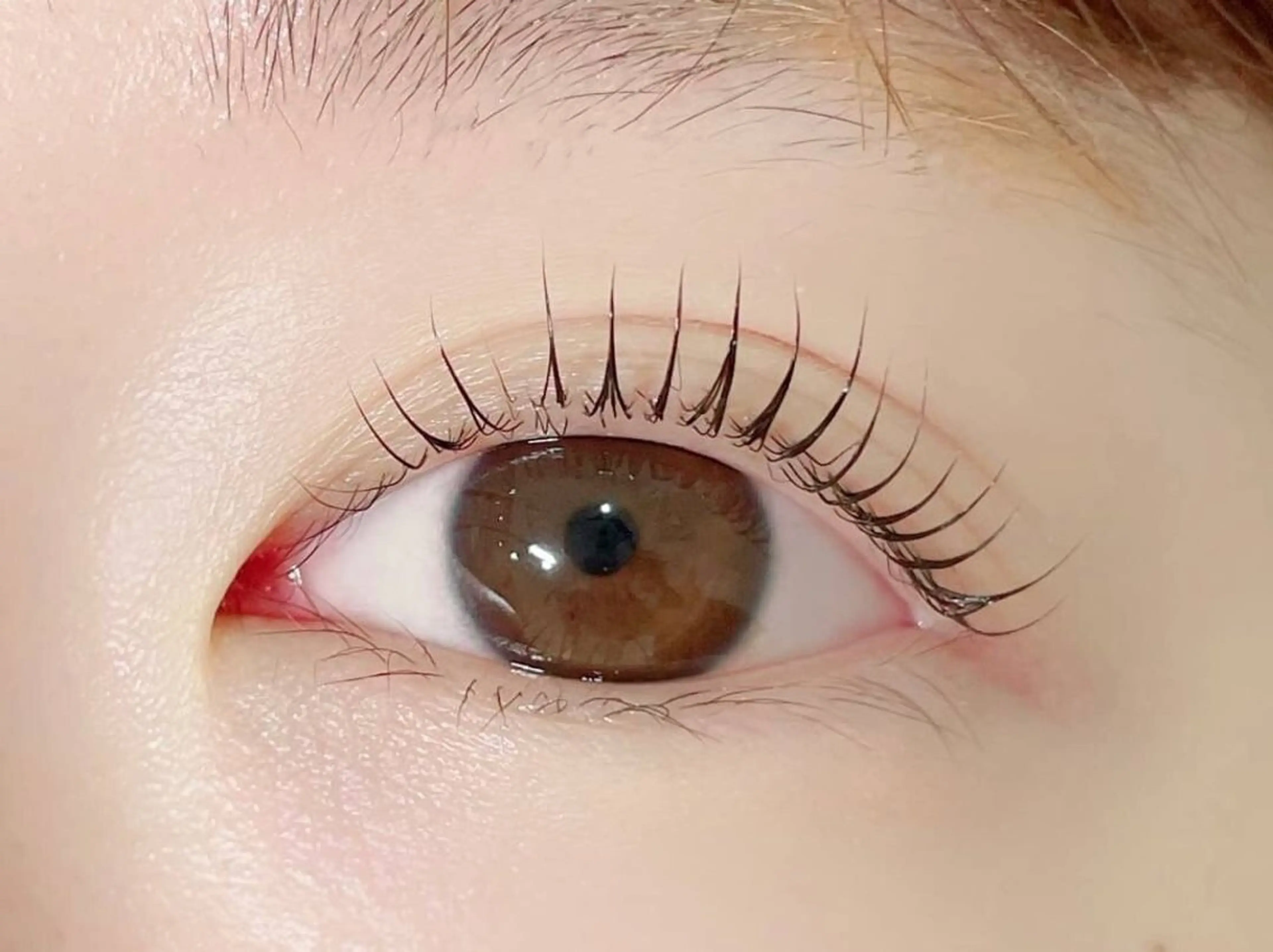 🌟特別価格🌟ふんわりまつ毛パーマの写真