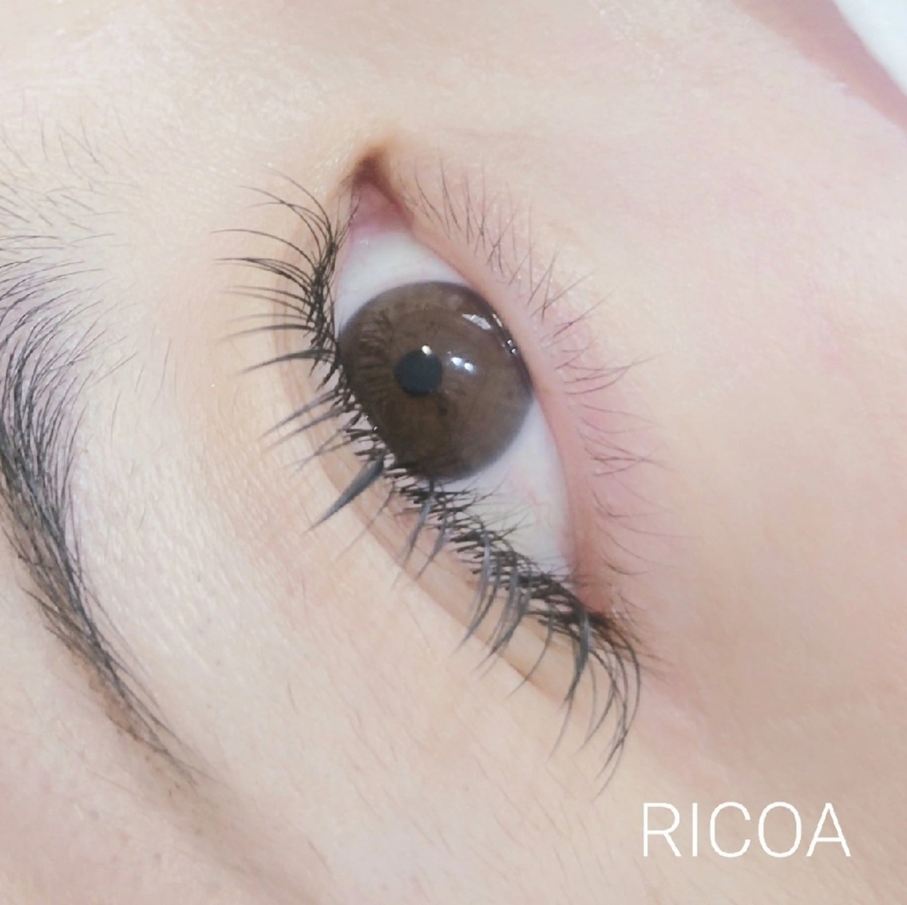 マツエク・マツパ マツエク RICOA 酒井のマツエク・マツパデザイン