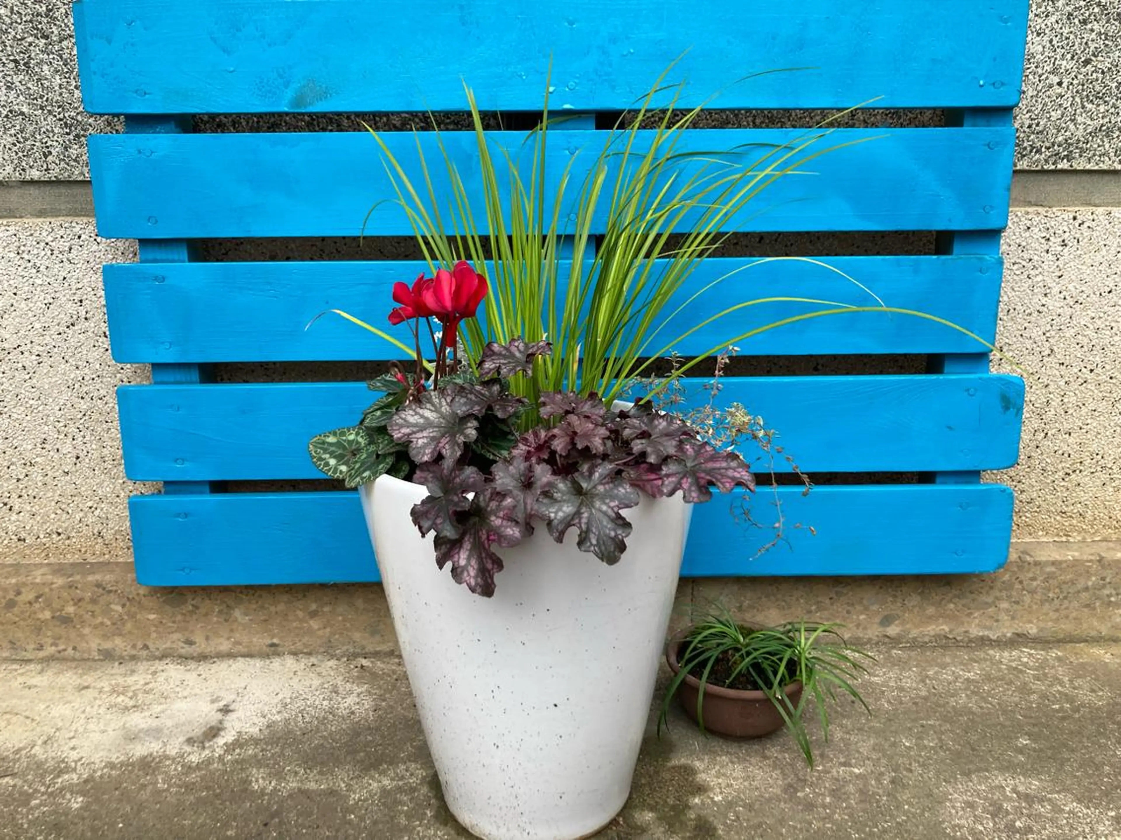 山嵜 まりこのエステ・リラクイメージ