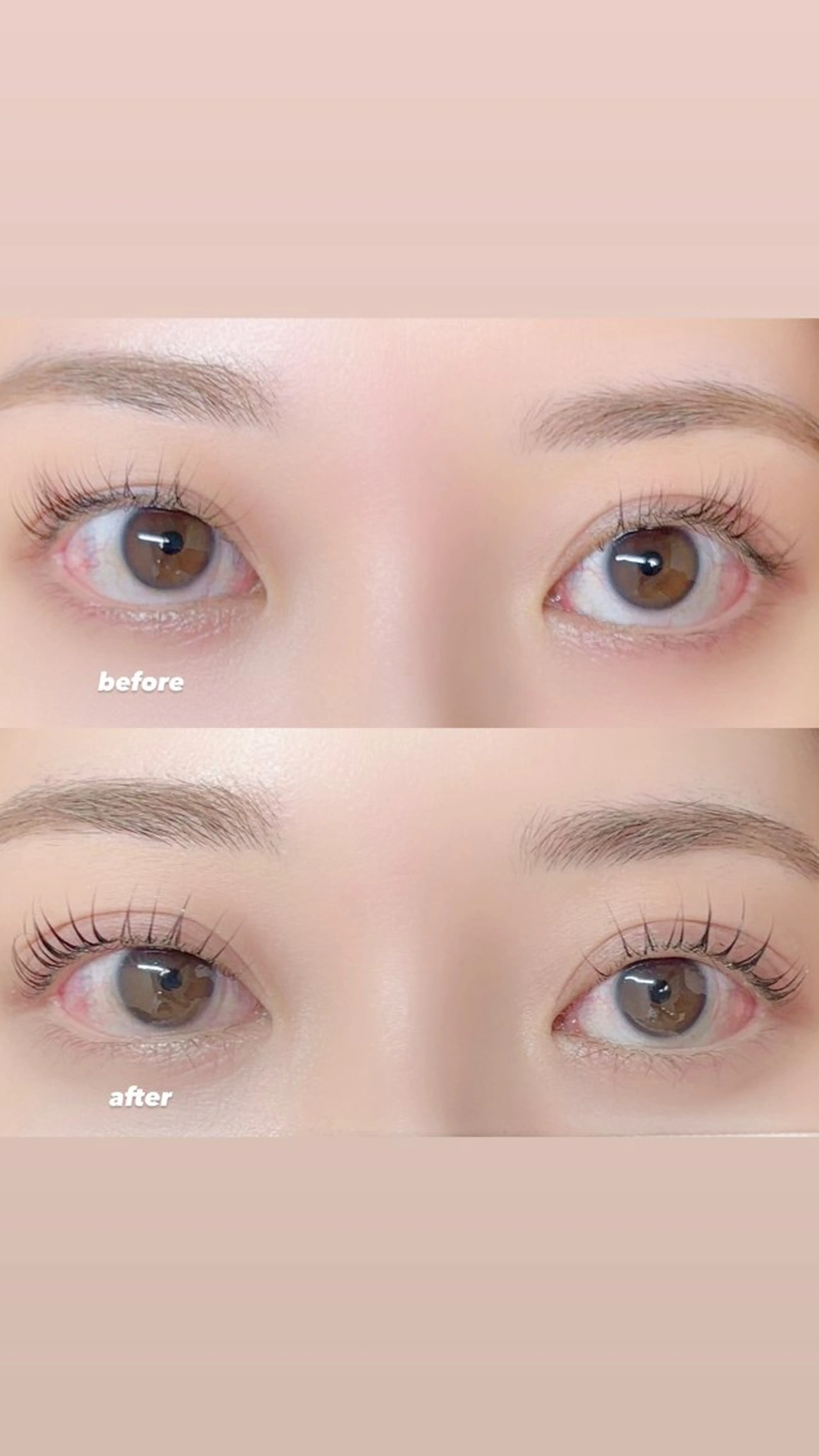 マツエク・マツパ Ayumi.dre 🐹H〈2階〉のマツエク・マツパデザイン