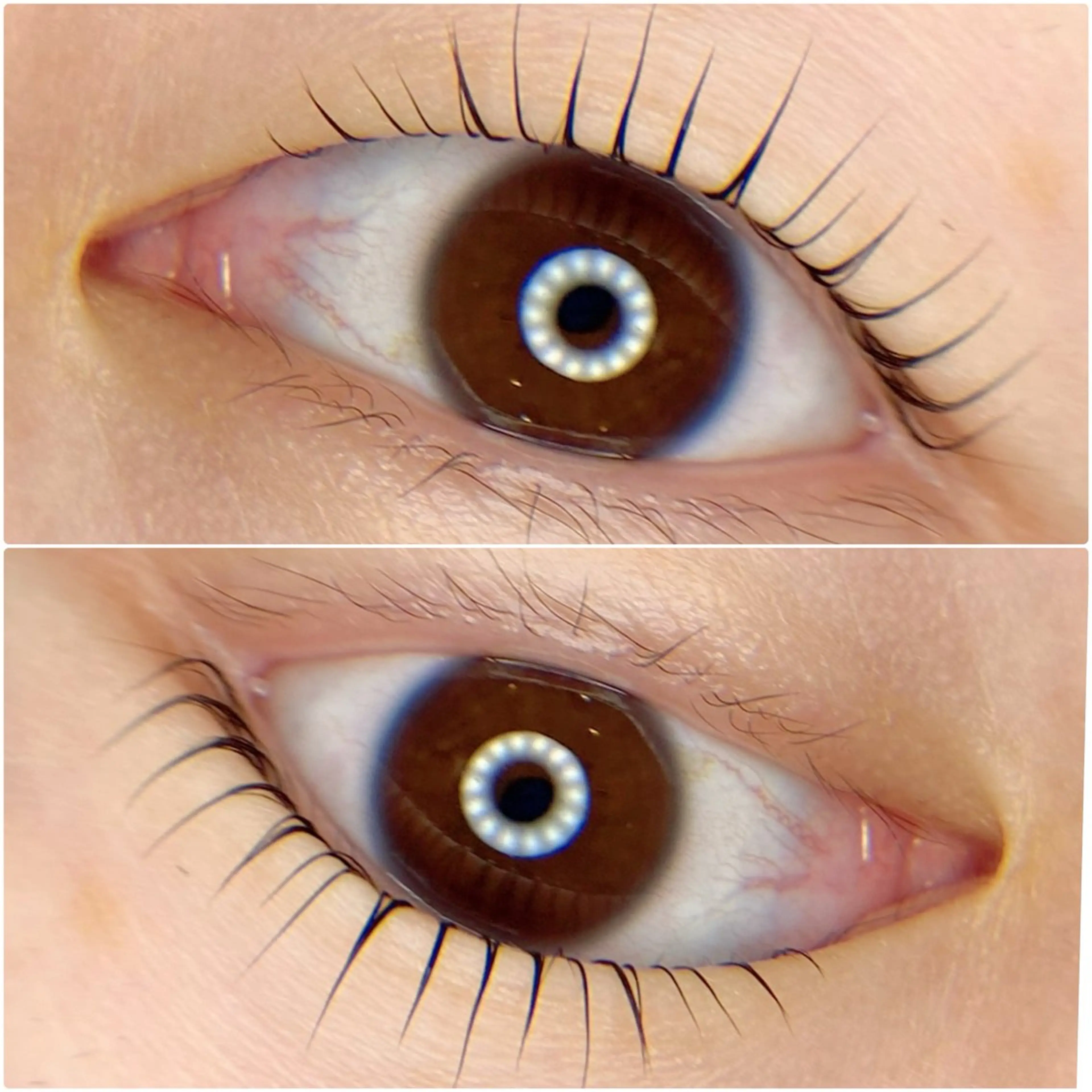 マツエク・マツパ マツパ tomte トムテのマツエク・マツパデザイン