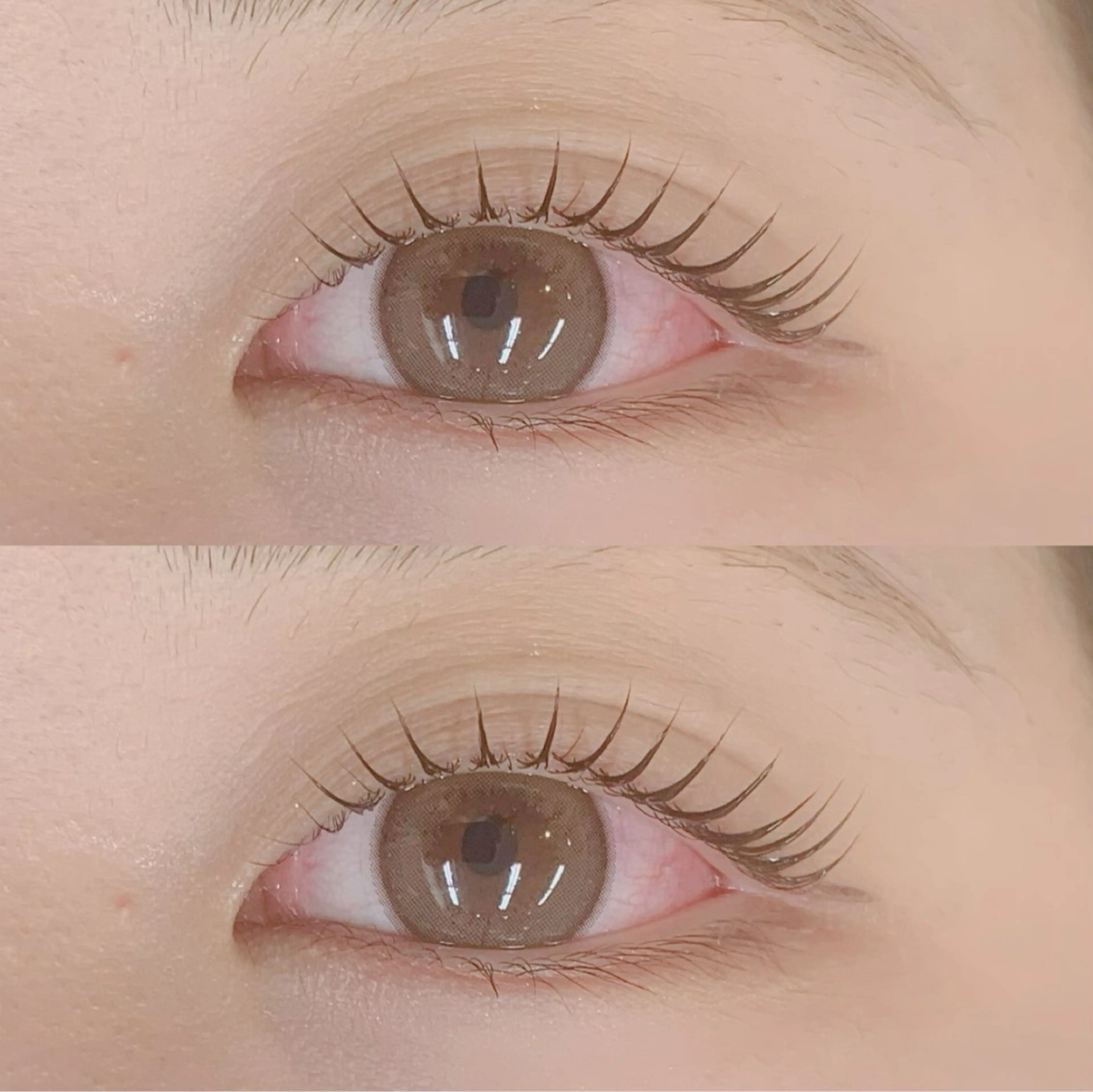 【アイシャンプー付き】まつ毛パーマ🌈の写真