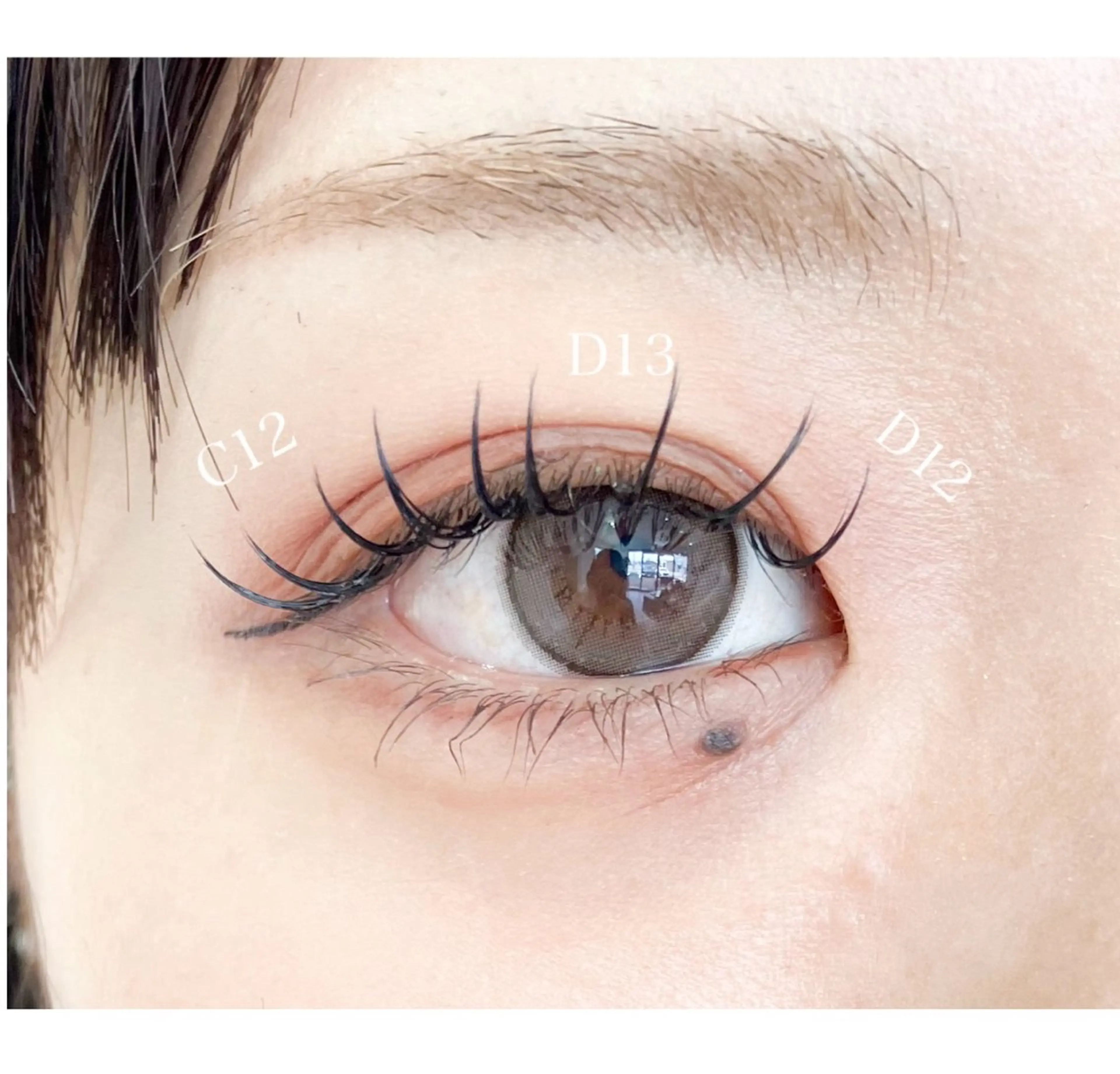 当日予約限定クーポン！シングルラッシュ100本¥4500の写真