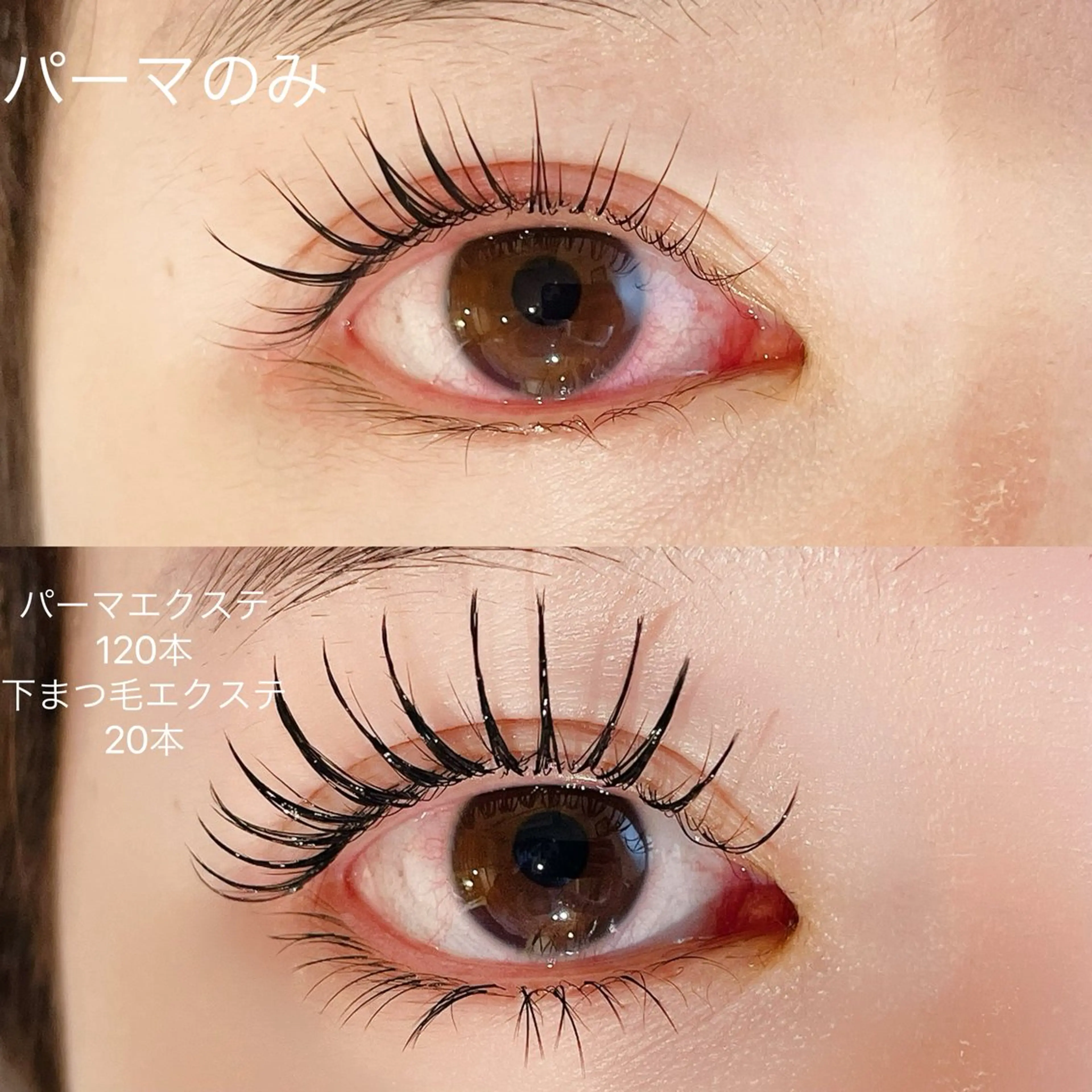 🌿パーマエクステ(パーマ+エクステ40​〜​60本) 🌿⚠️所要時間120分の写真