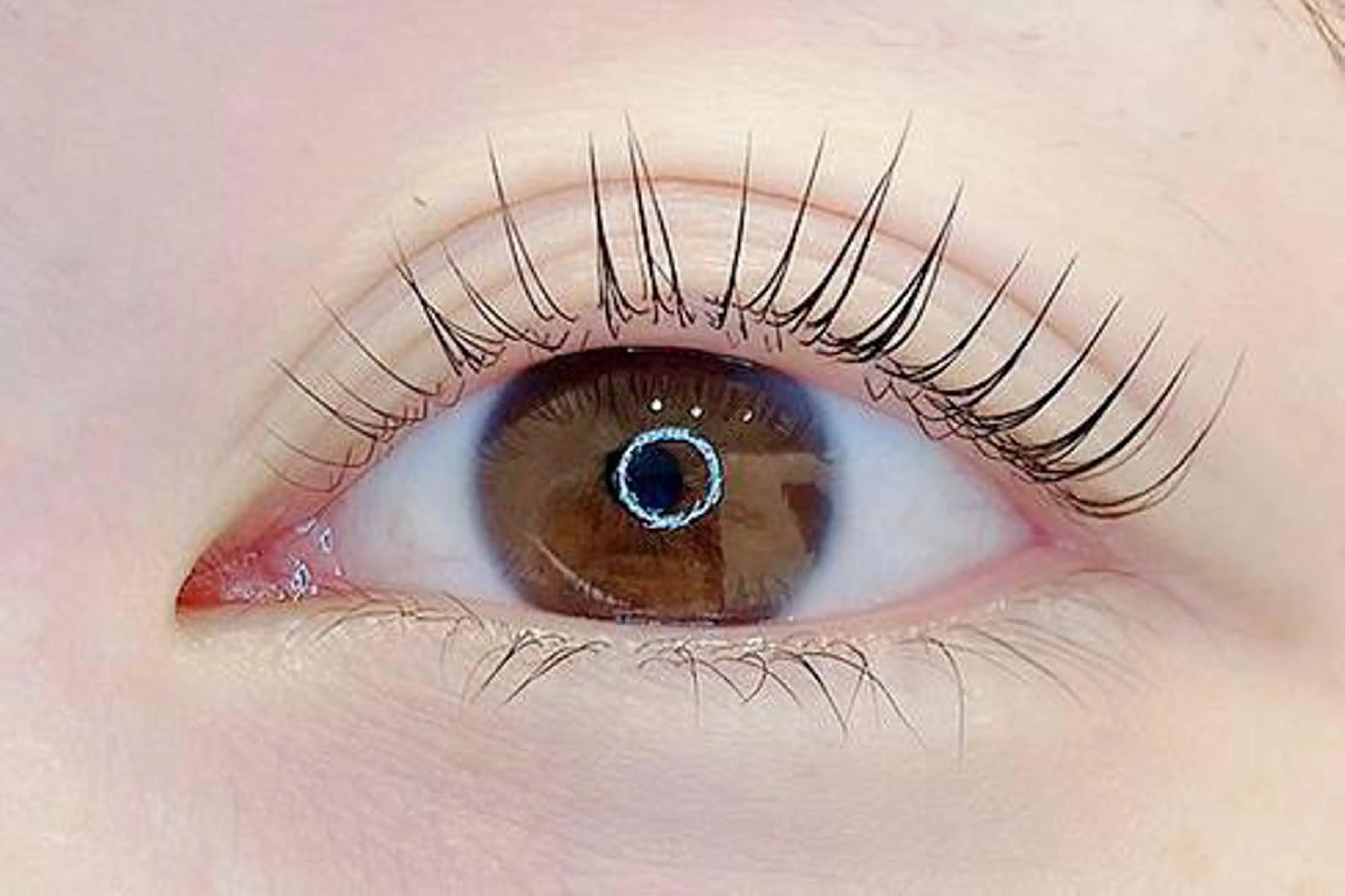 マツエク・マツパ FOXY LASH the beautyのマツエク・マツパデザイン