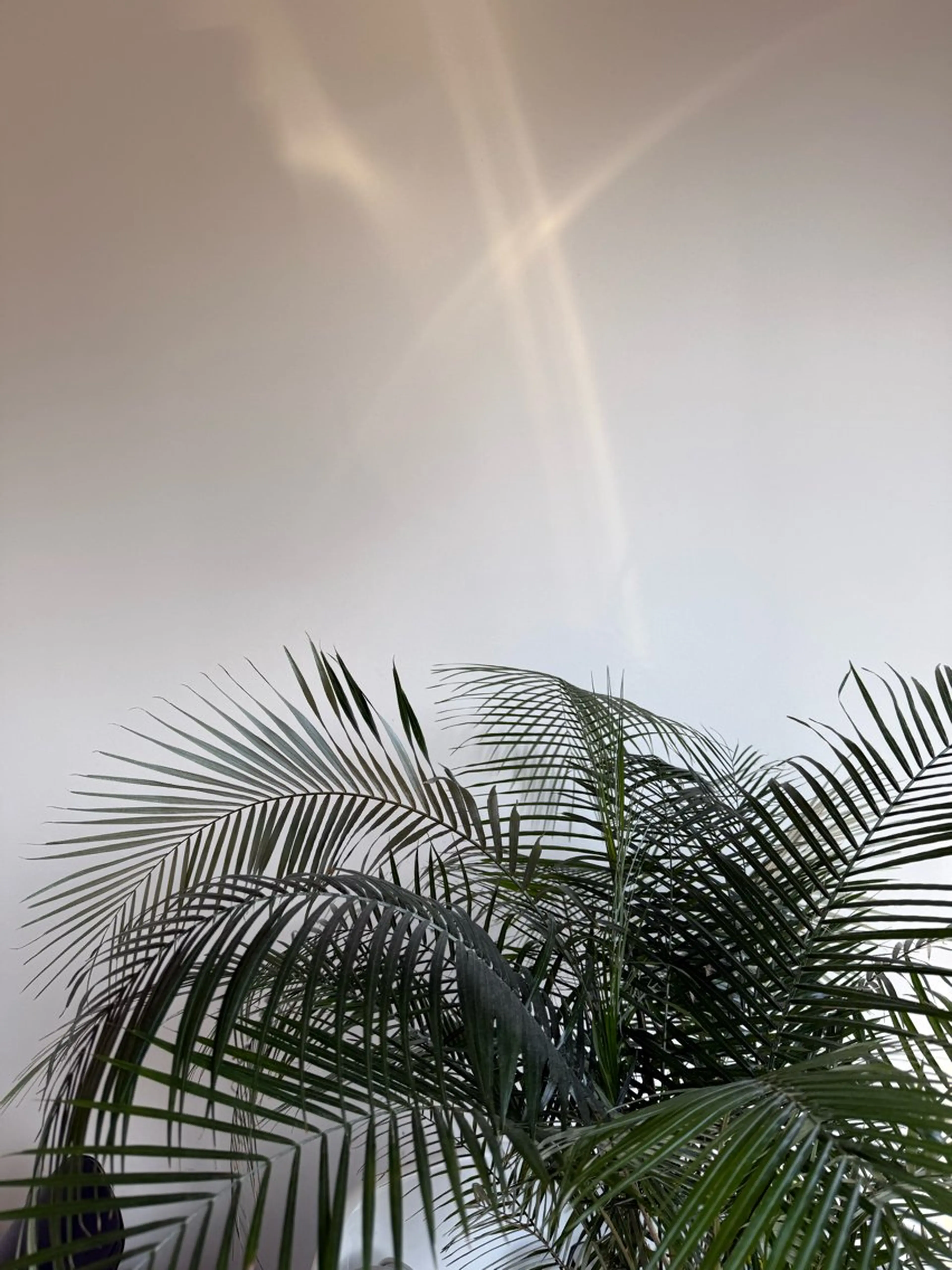 ミディアム 髪質改善 🌻Kaho/カラー /髪質改善🌻のヘアスタイル