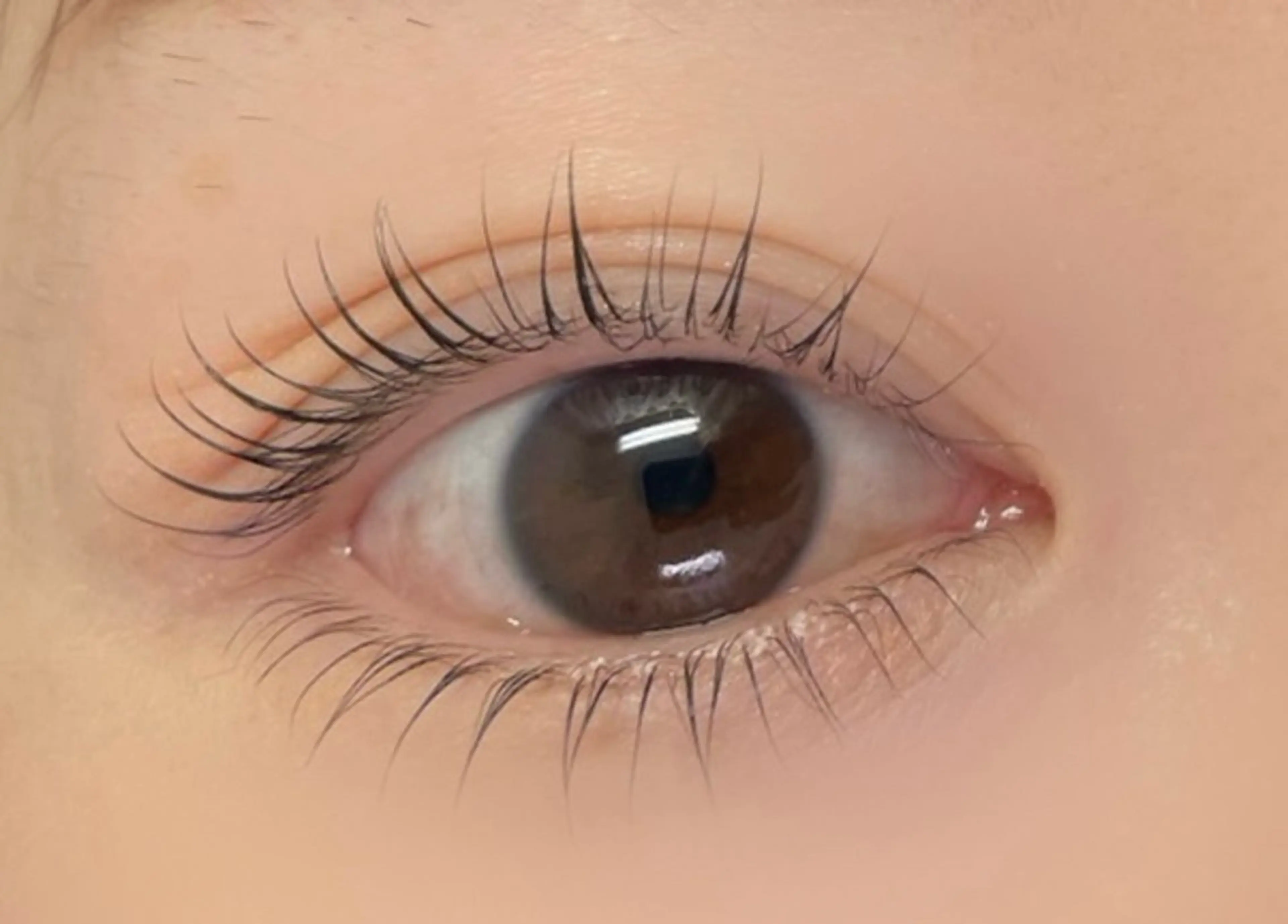 マツエク・マツパ Assemble 門前仲町店のネイルデザイン