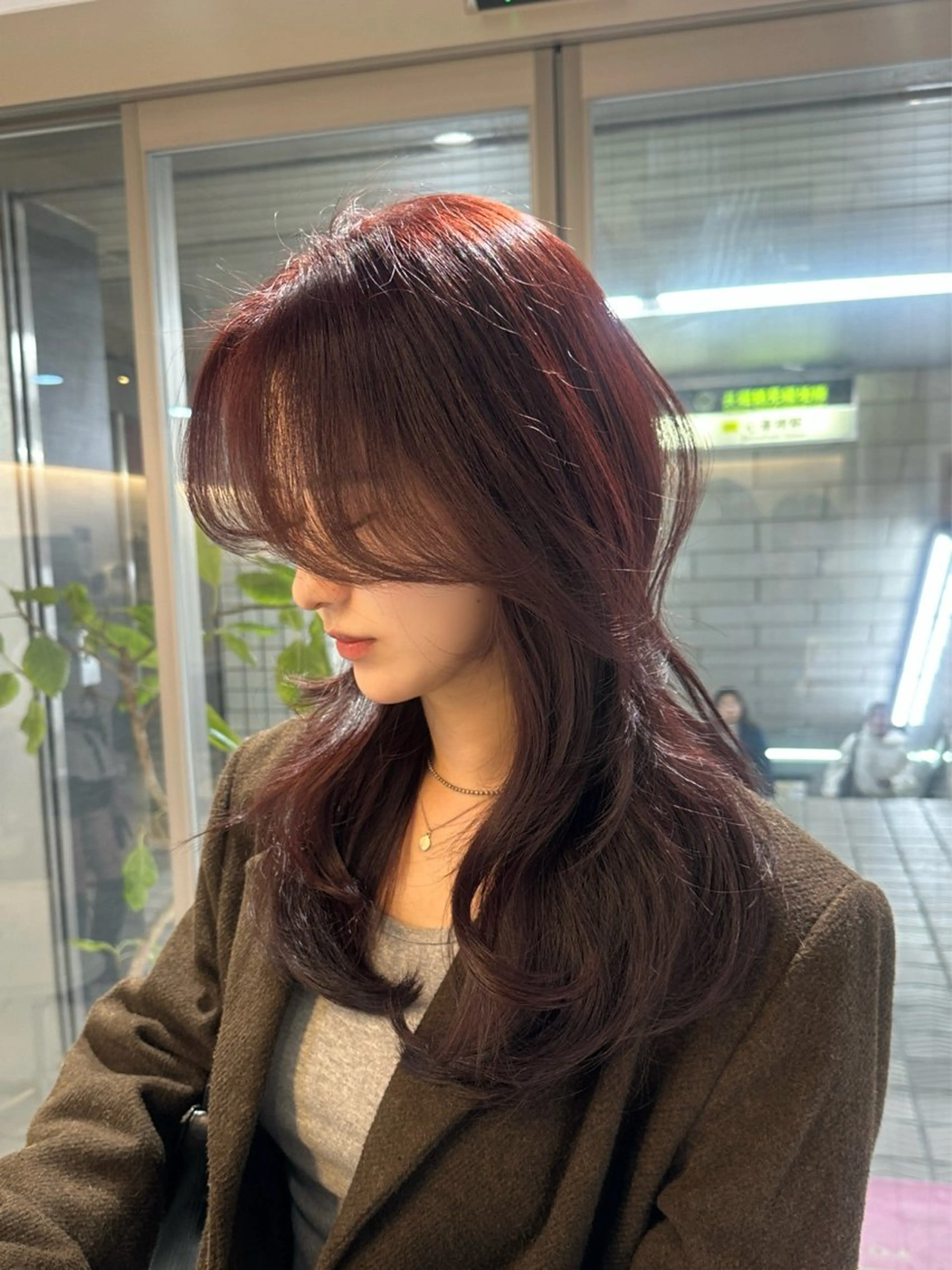 セミロング 韓国風ヘア レイヤーカット カット ヘアカラー トリートメント 心斎橋/縮毛矯正 /艶髪カラーのヘアスタイル