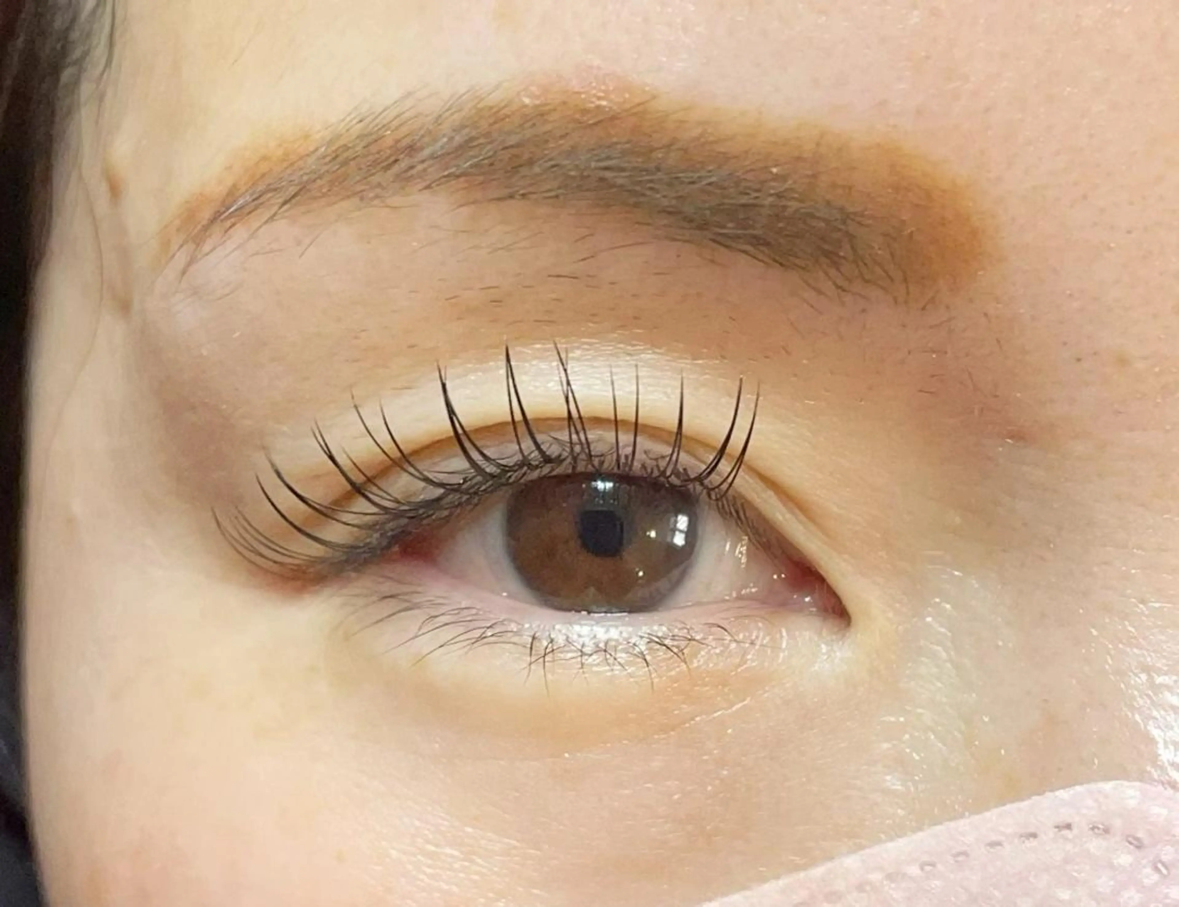 フラットラッシュ100本🍁の写真