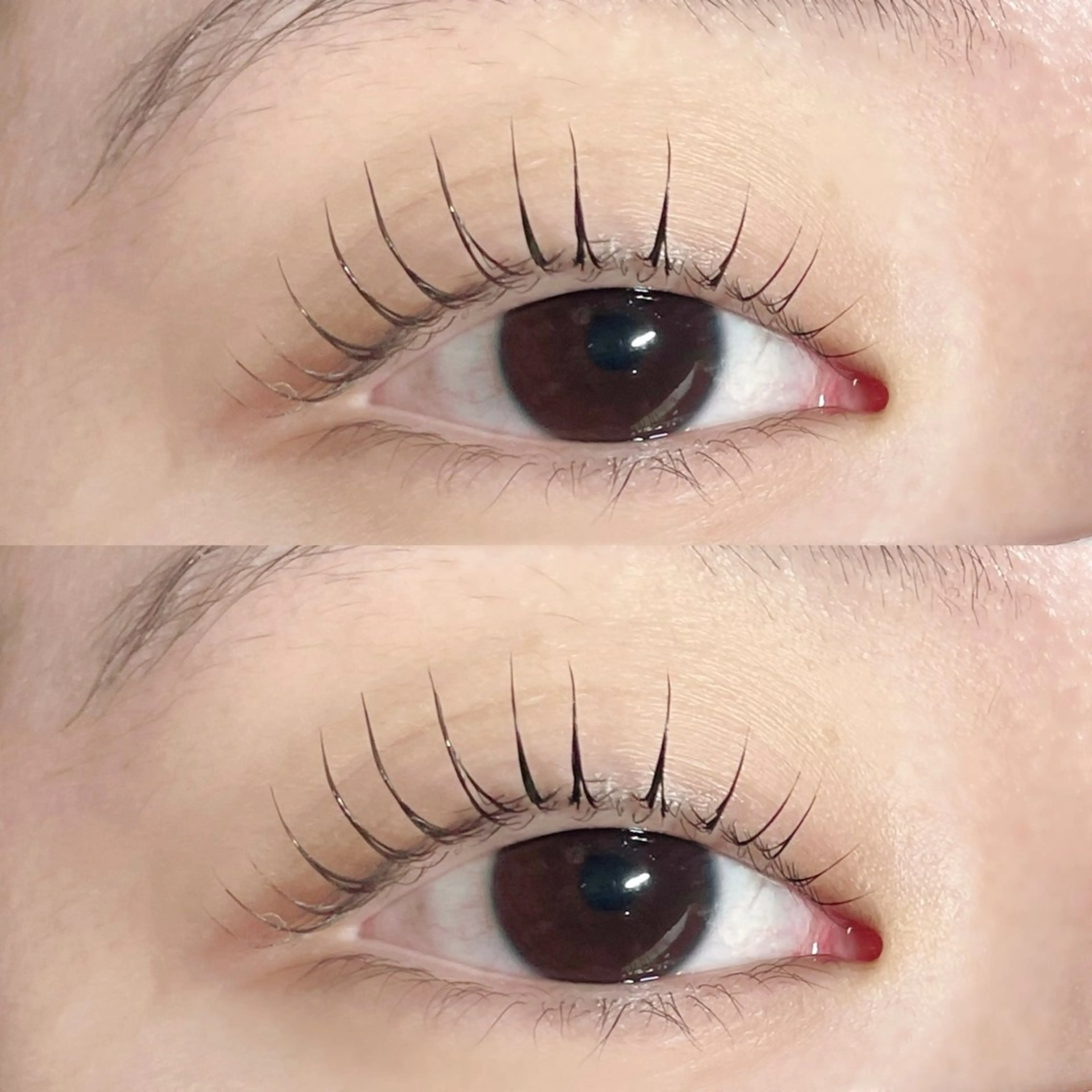 マツエク・マツパ マツパ riche eye_ aya🪞のマツエク・マツパデザイン