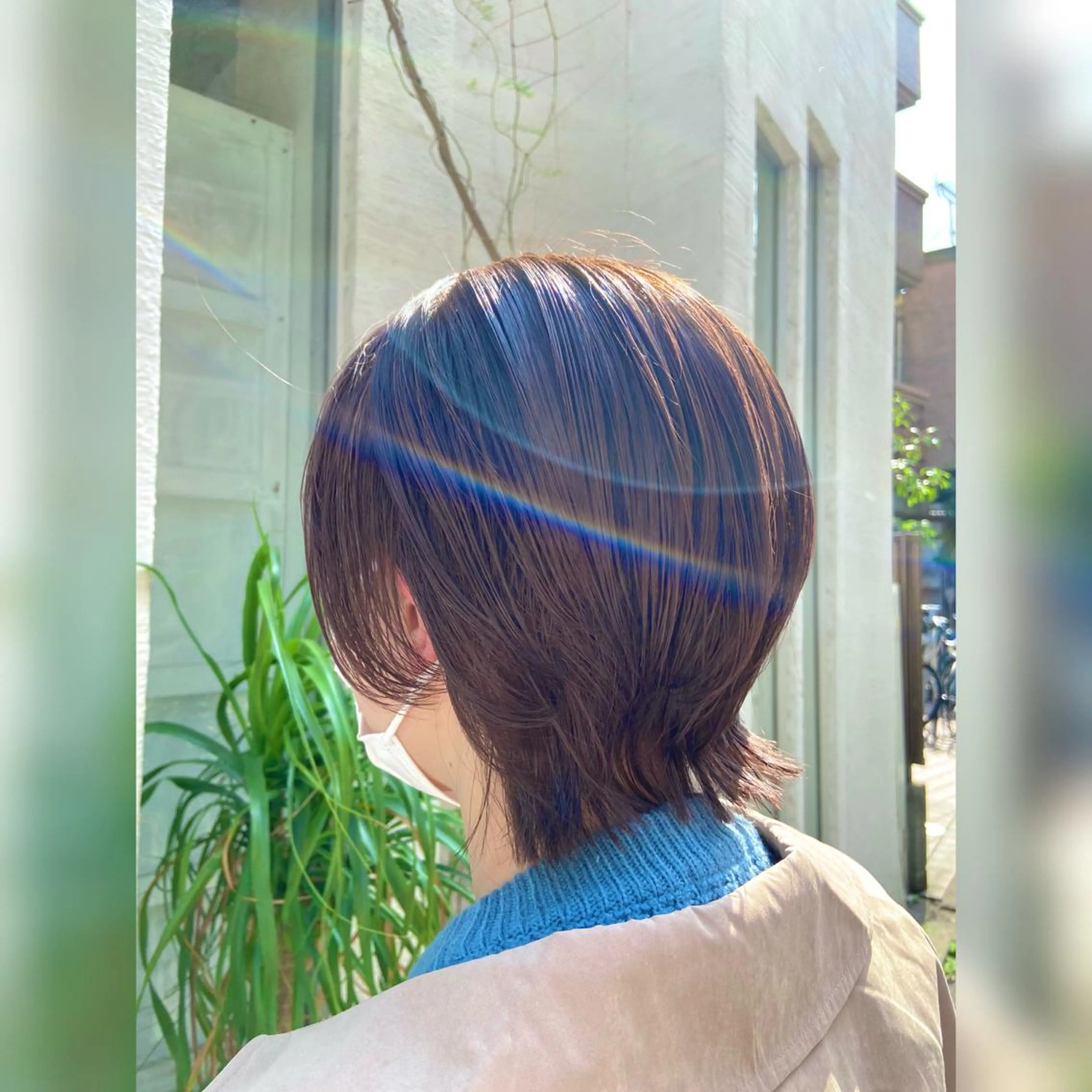 平日限定🌟レディースカットの写真