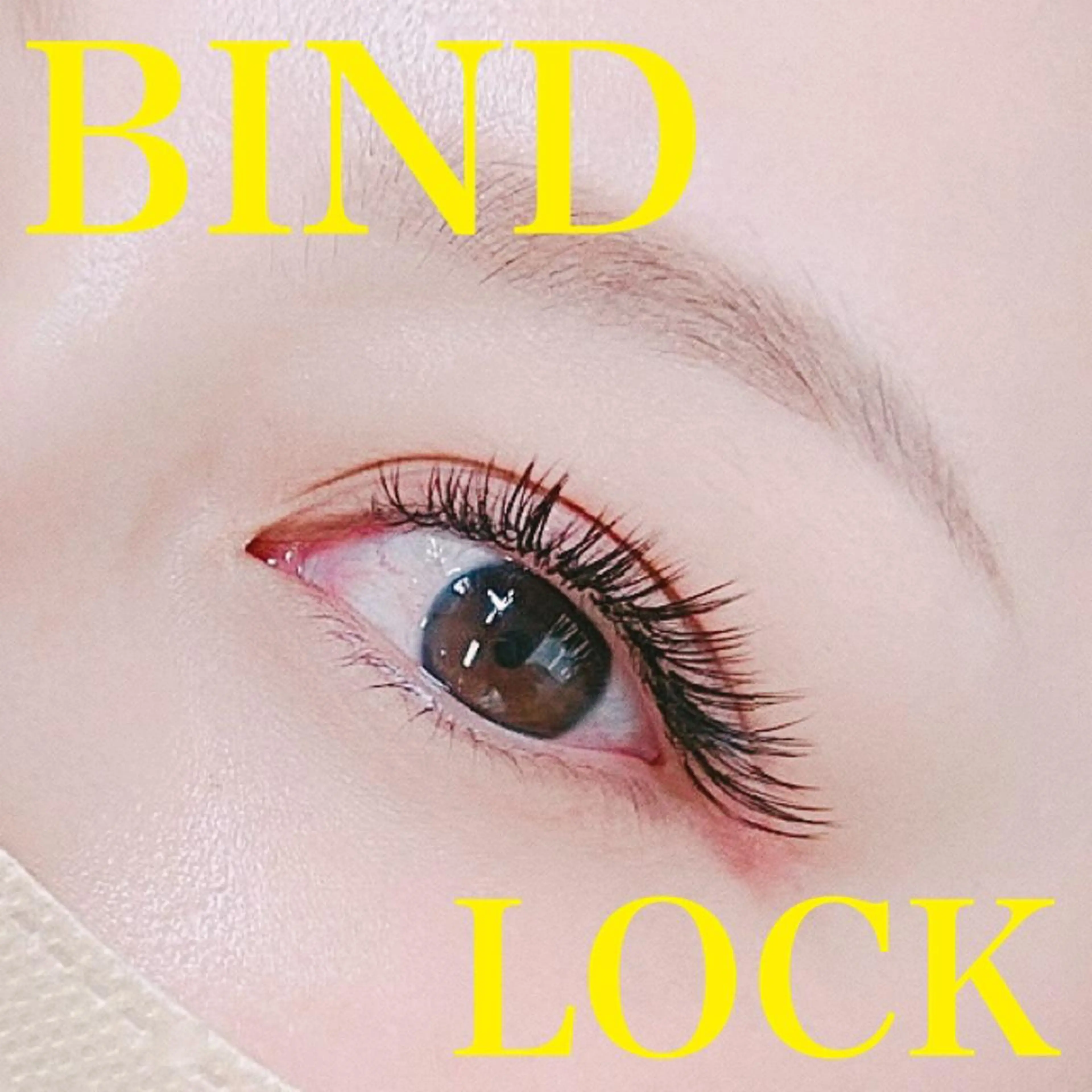 高持続⚡️【バインドロック60束】（ナチュラルな仕上がりorお付け足しに♡）の写真