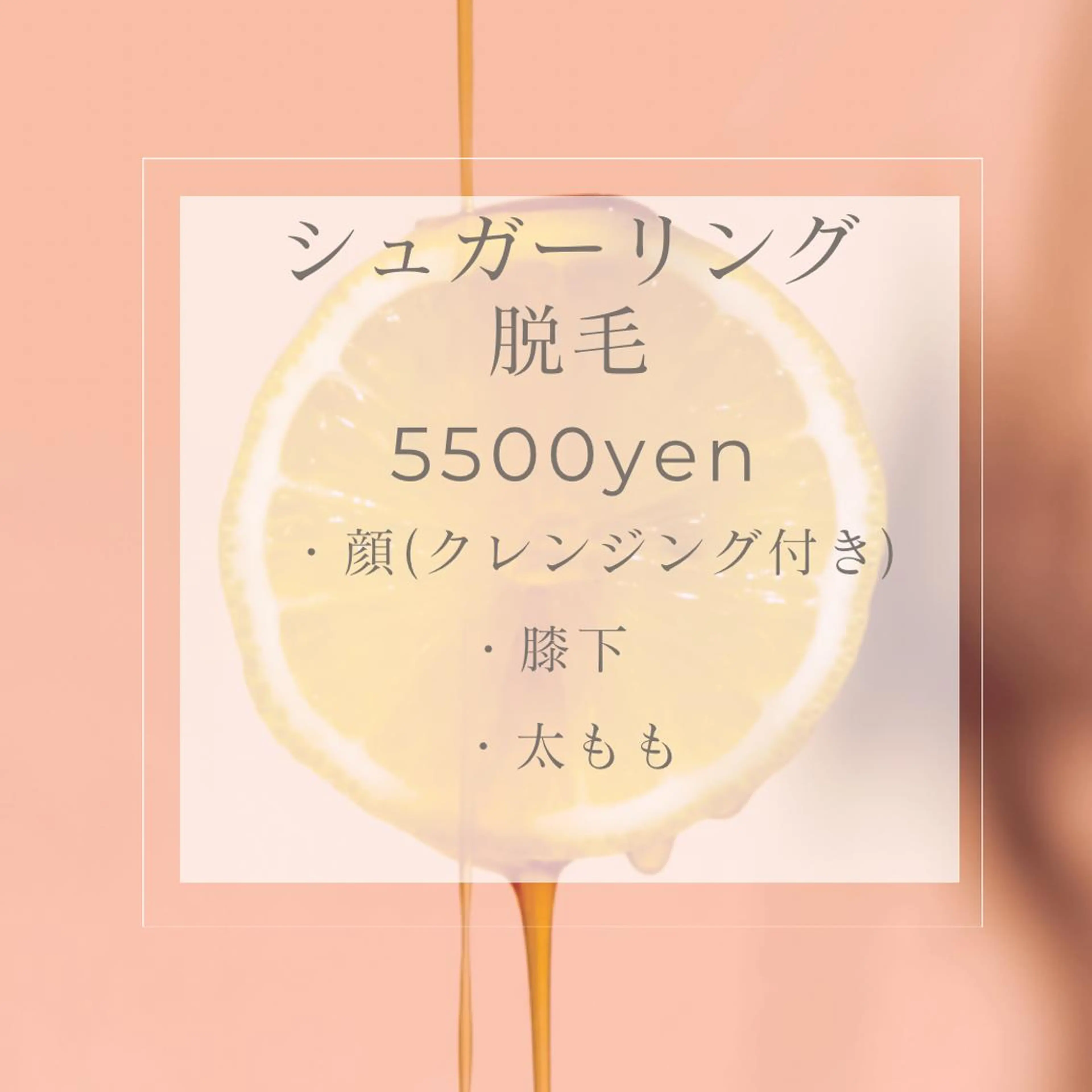 【シュガーリング】5500円🌼膝下/太もも/顔(クレンジングマッサージ付)の写真
