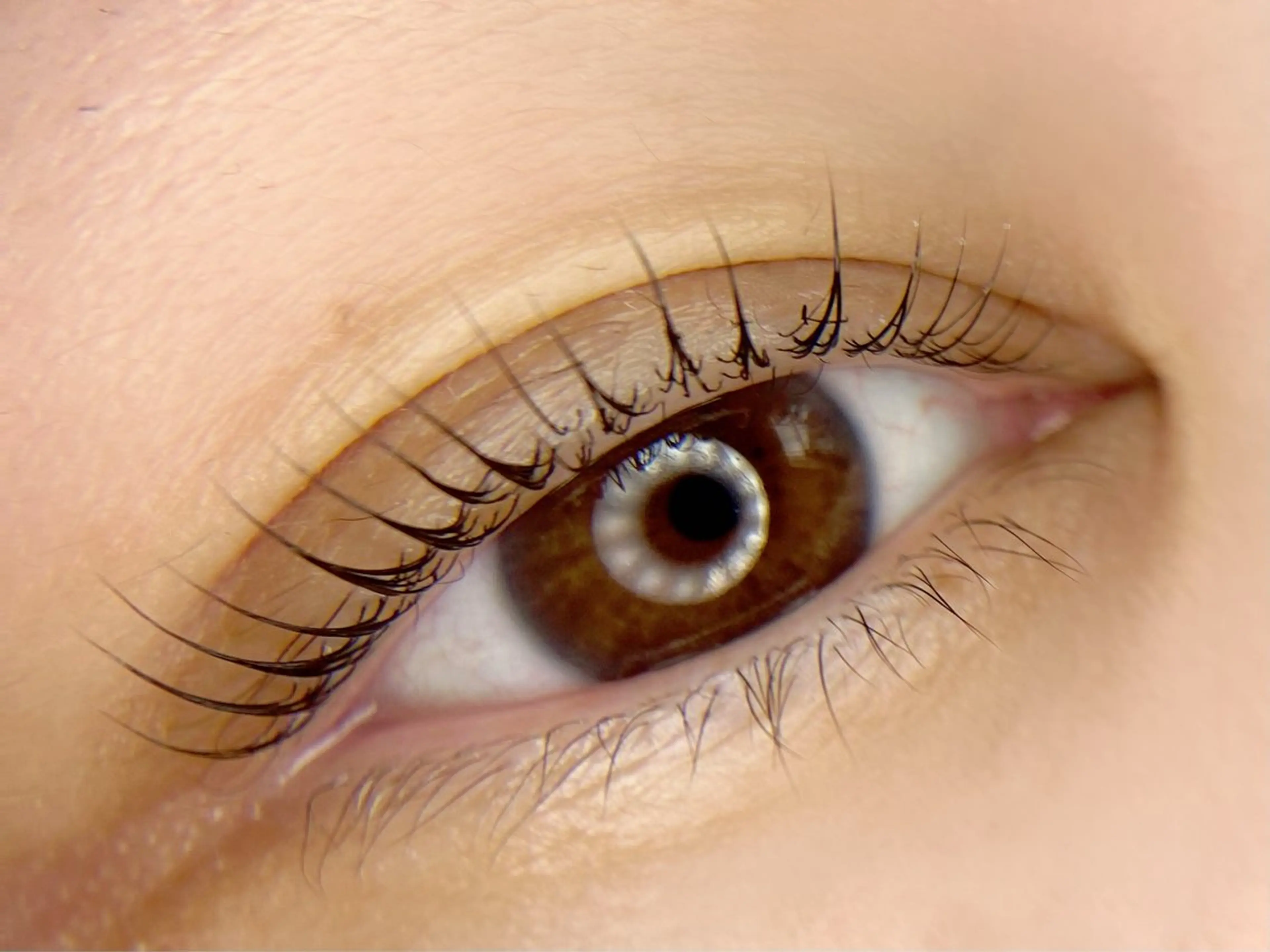 マツエク・マツパ マツパ tomte トムテのマツエク・マツパデザイン