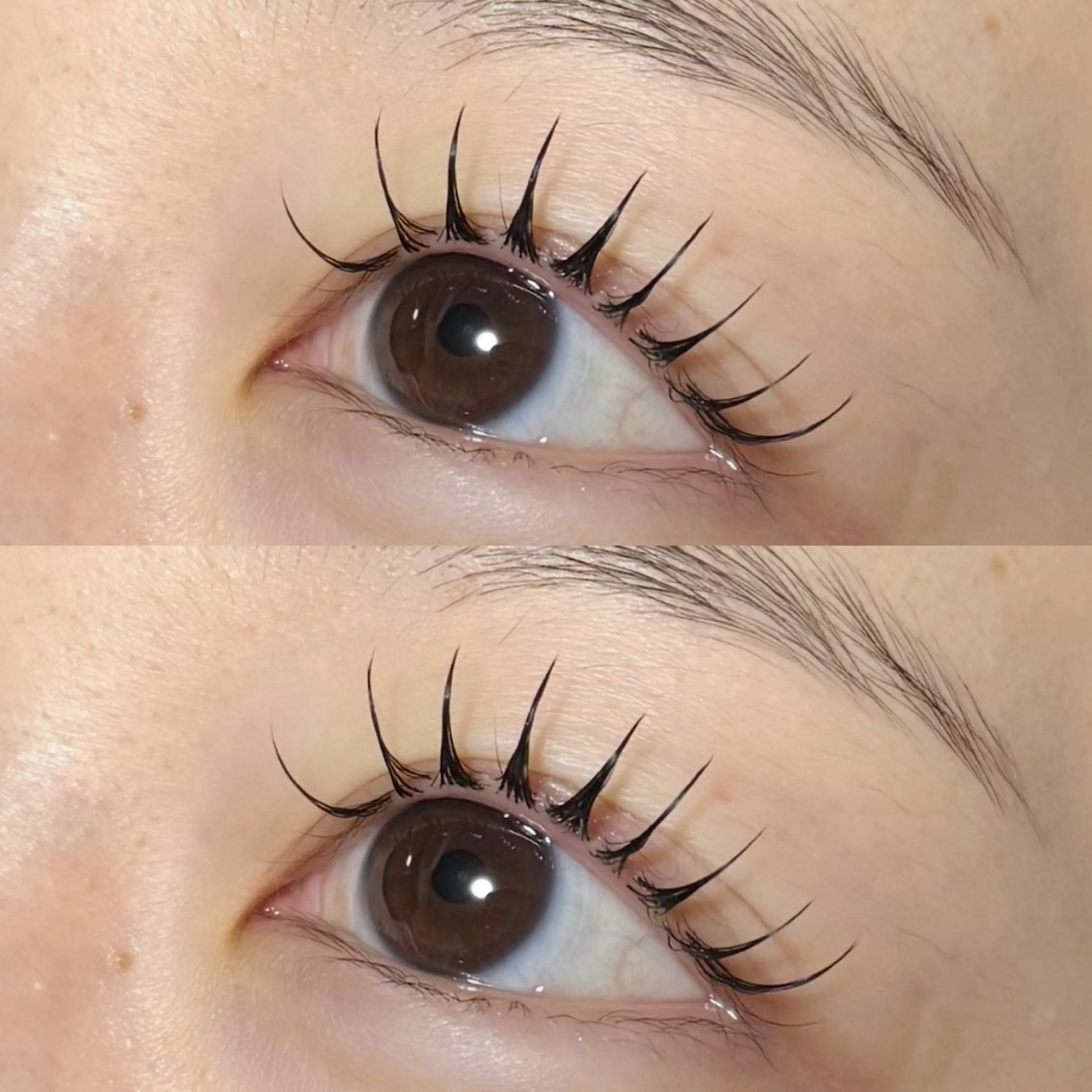 マツエク・マツパ . mayuのマツエク・マツパデザイン