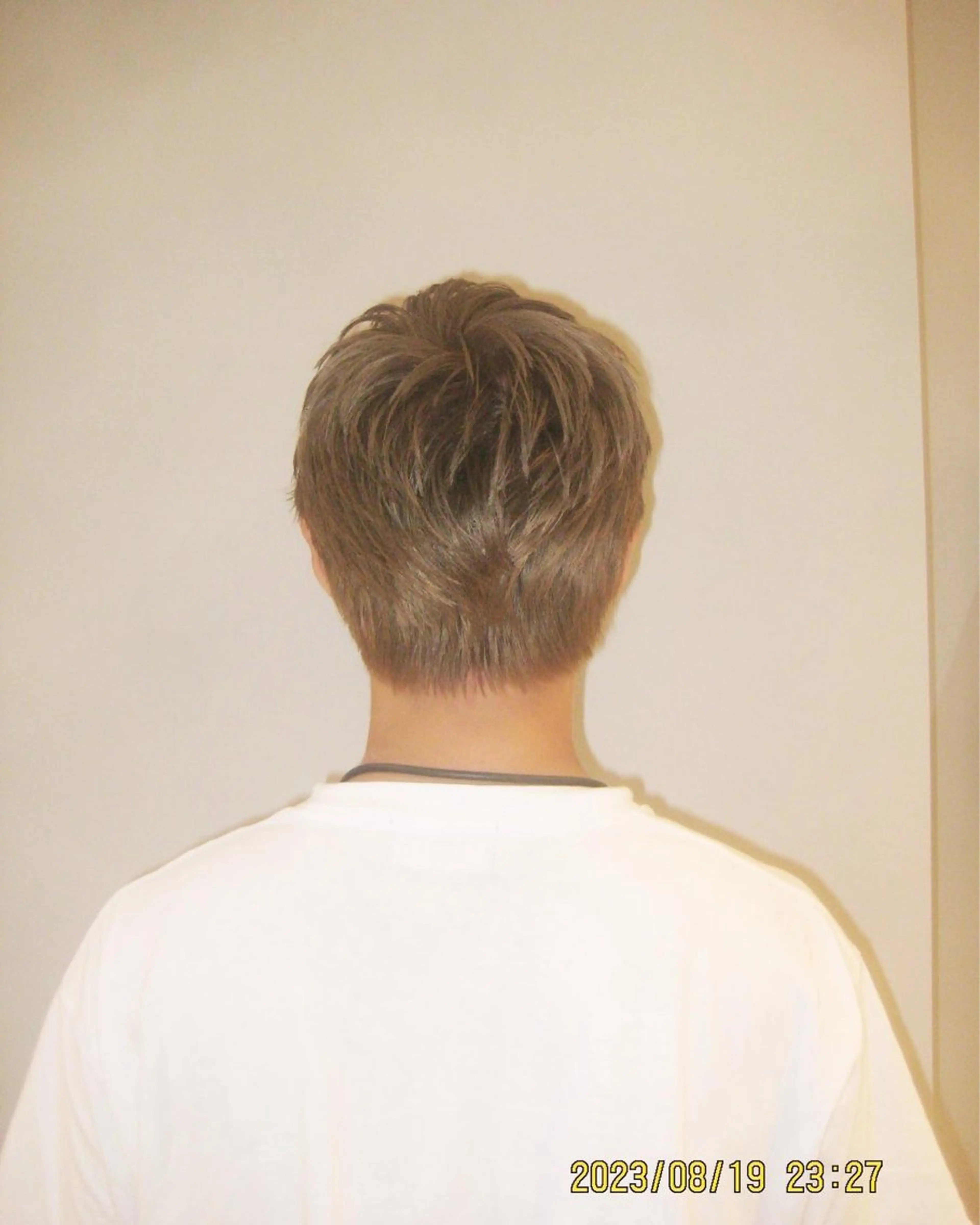 ショート カラー メンズ 似合わせカット /パーマ岡本淳平のヘアスタイル