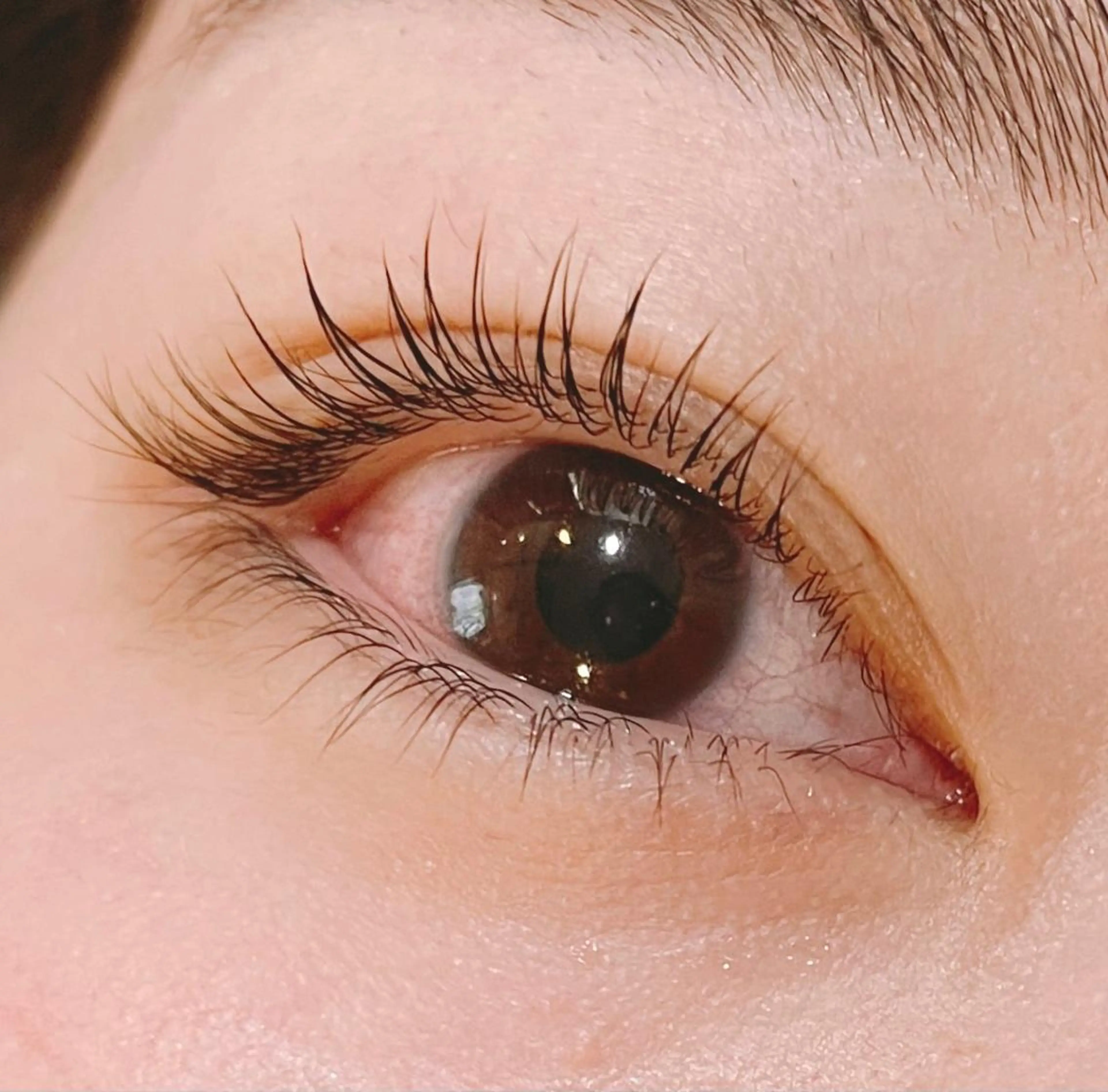 マツエク・マツパ マツパ cheerful eyelash&eyebrow所属・cheerful akagawaのマツエク・マツパデザイン