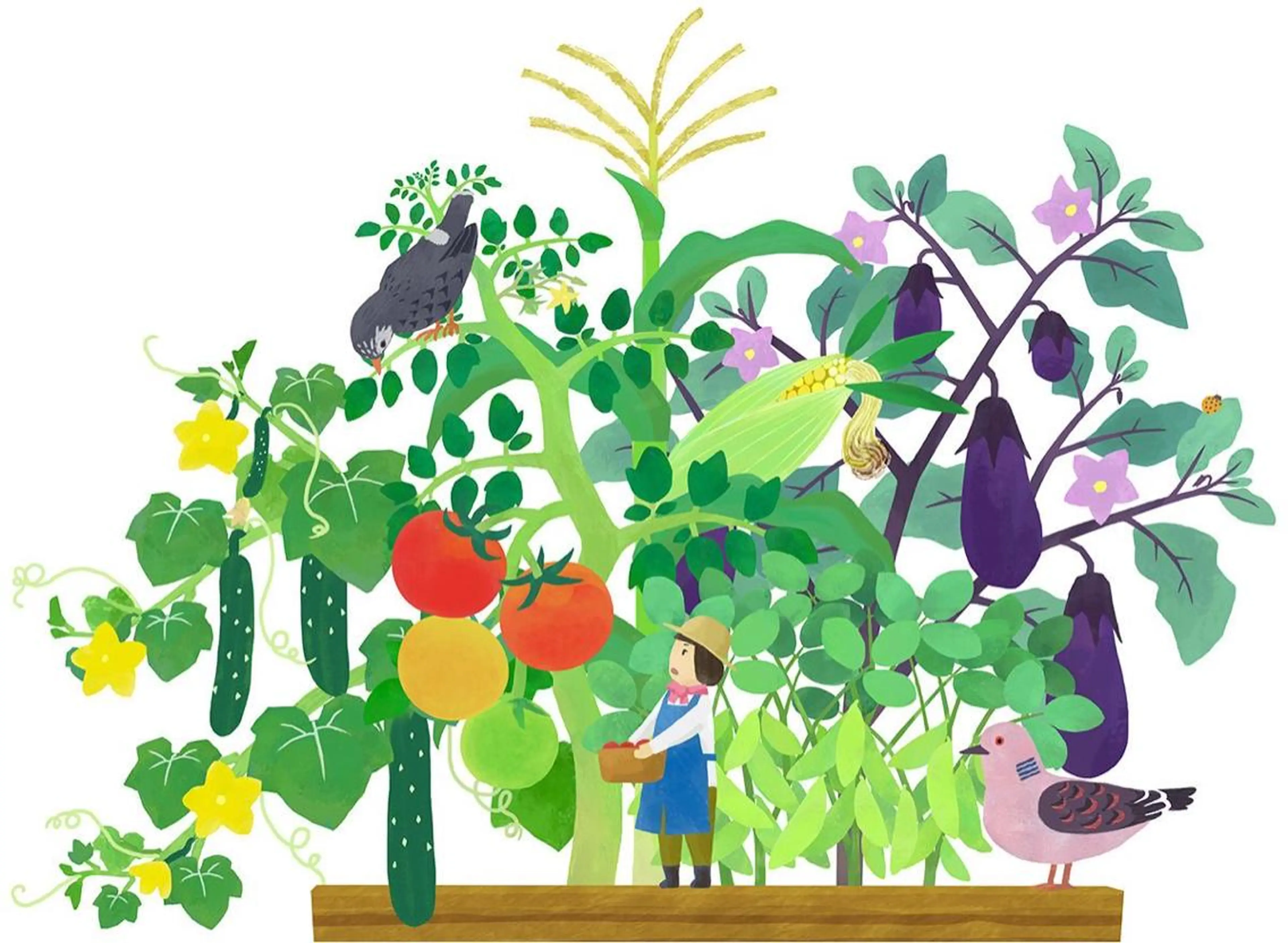 ショート カラー パーマ ヘアアレンジ メンズ キッズ ネイル マツエク・マツパ アイブロウ 学生（メンズ向け） 眉毛ワックス脱毛 学生 小顔カット 赤色 Chloe-クロエ- 脱毛/フェイシャルのエステ・リラクイメージ