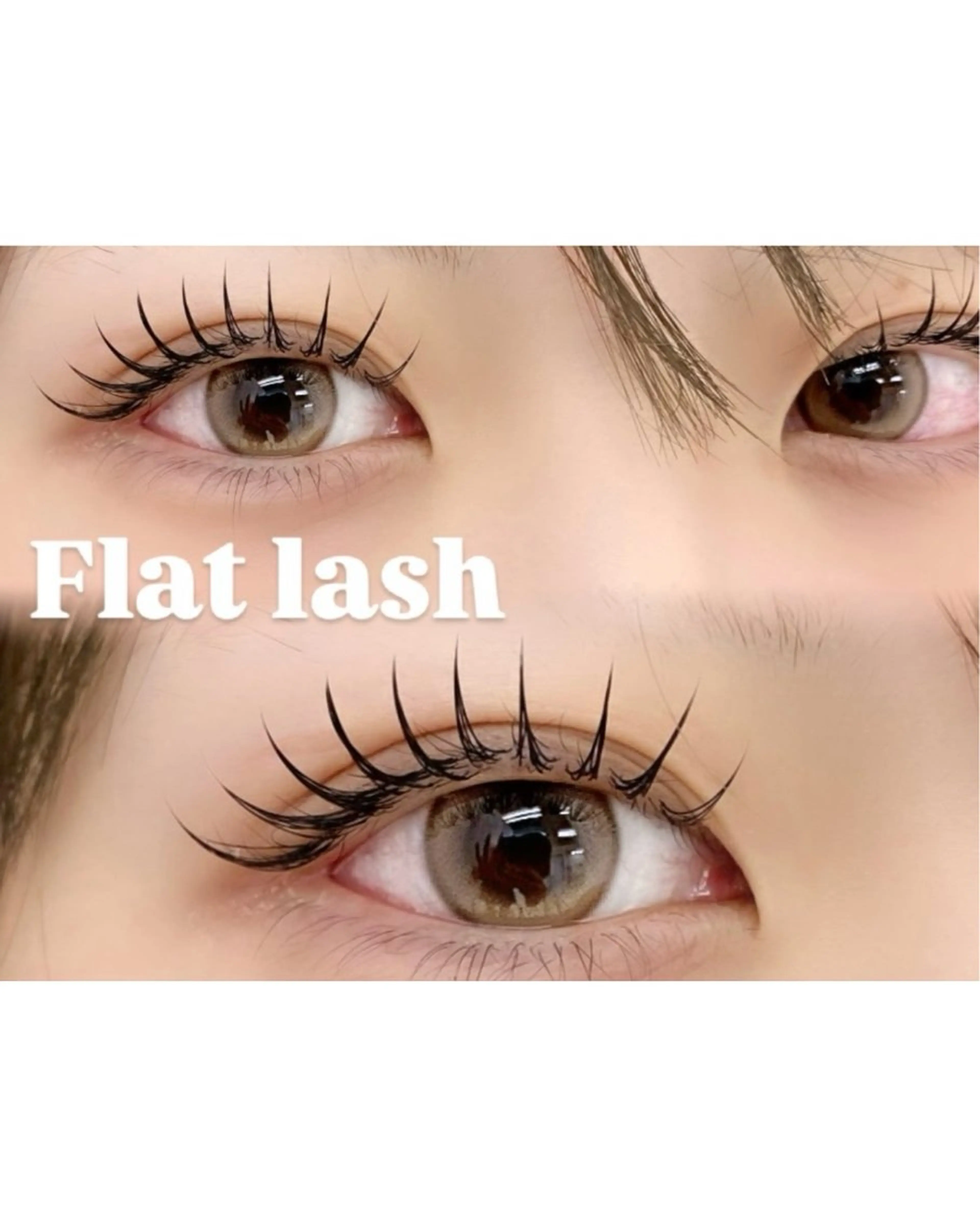 フラットラッシュ🌻【100本】の写真