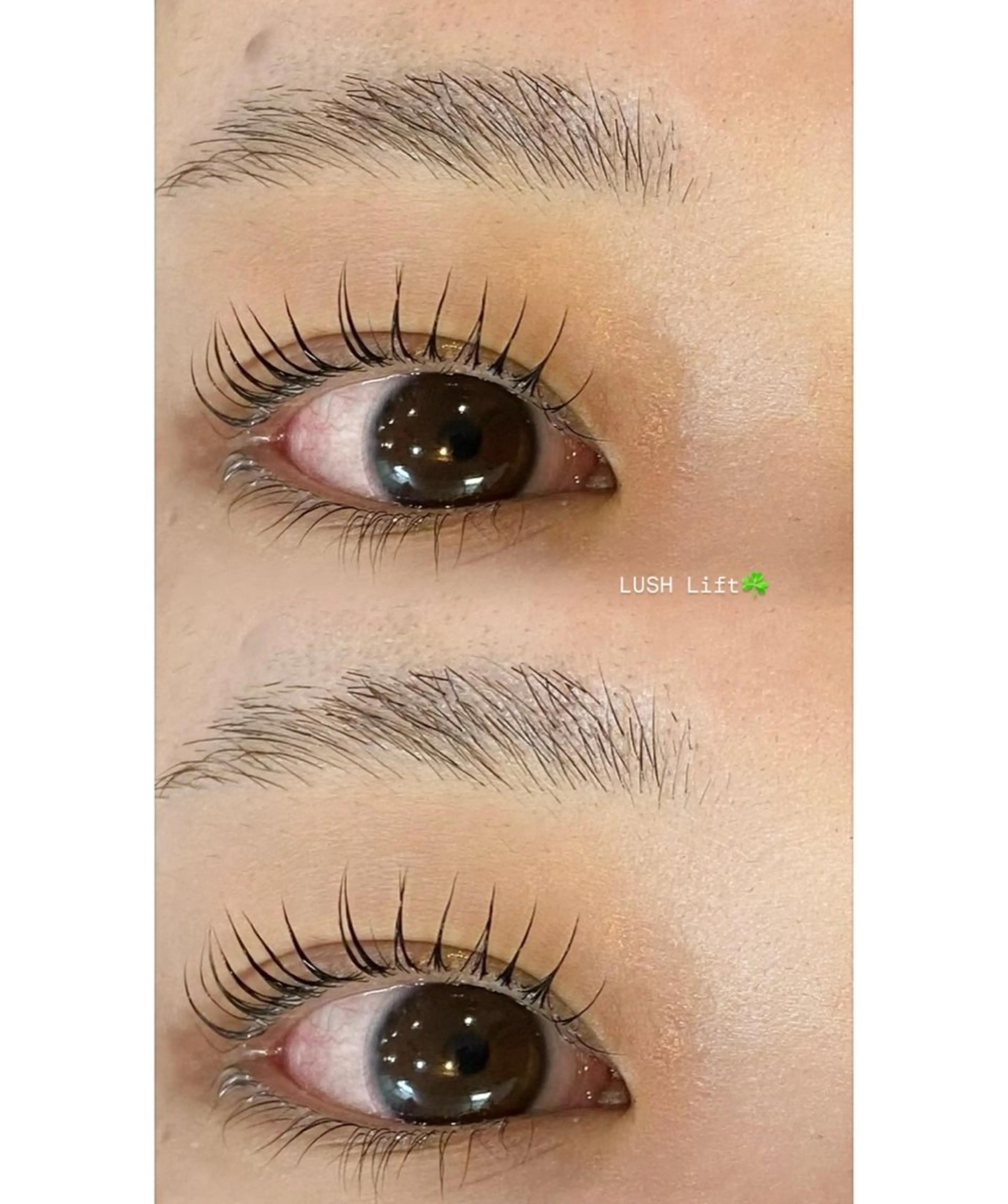 マツエク・マツパ EYELA ⭐️大森のマツエク・マツパデザイン