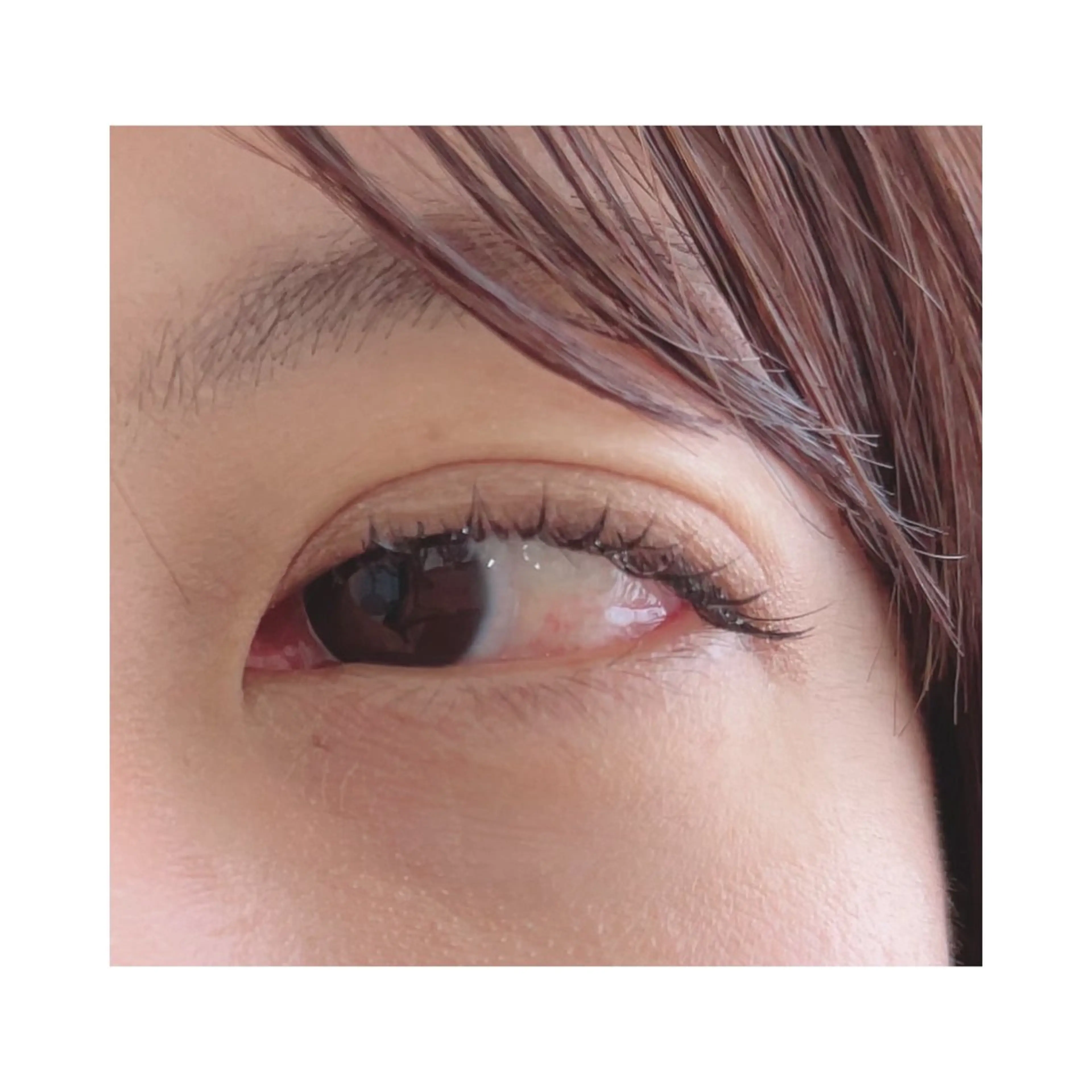 minimo限定❕フラットラッシュ100本＋コーティング付き（オフ別途）の写真