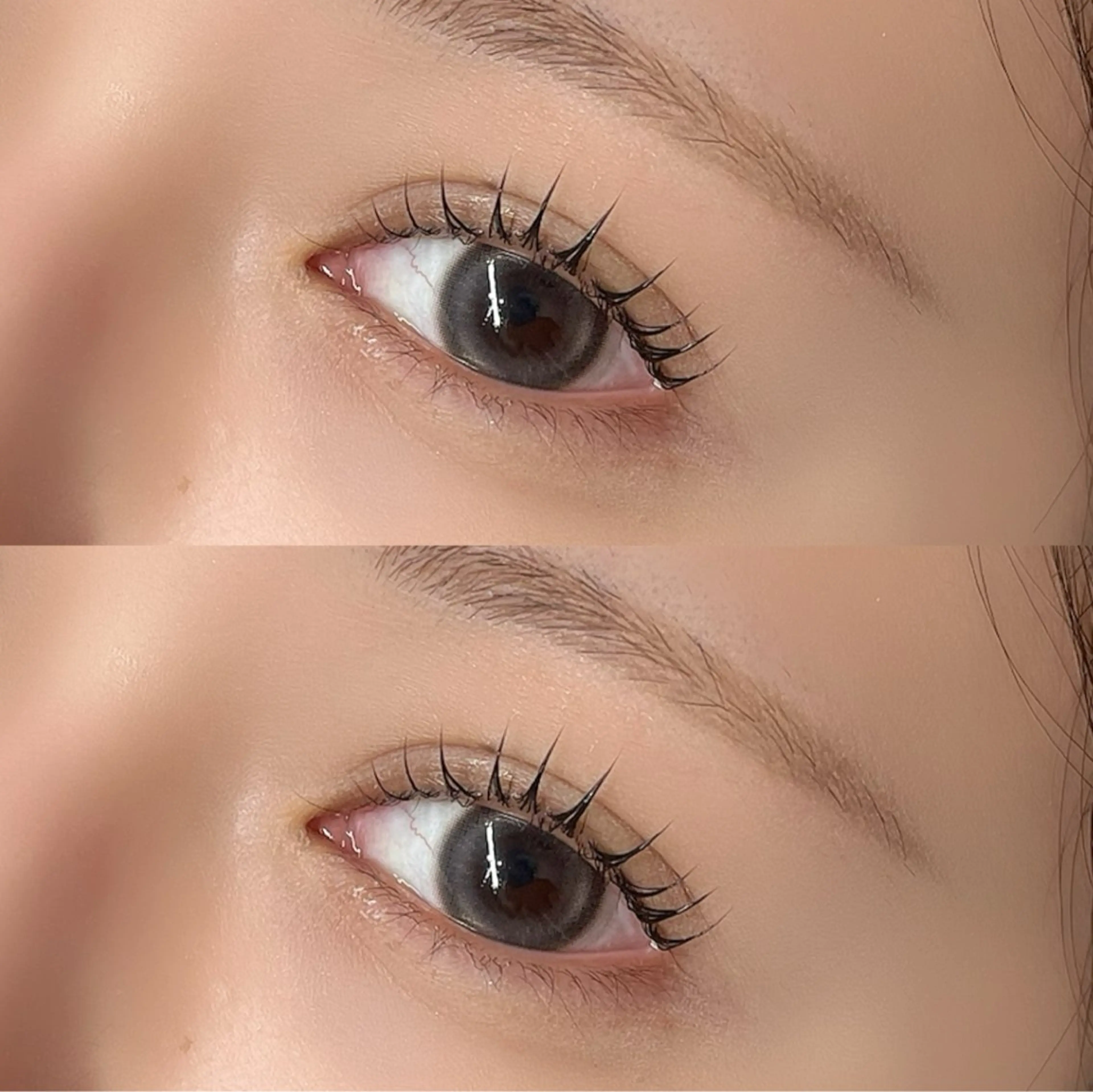 ご新規様　🫧ラッシュリフト🫧の写真