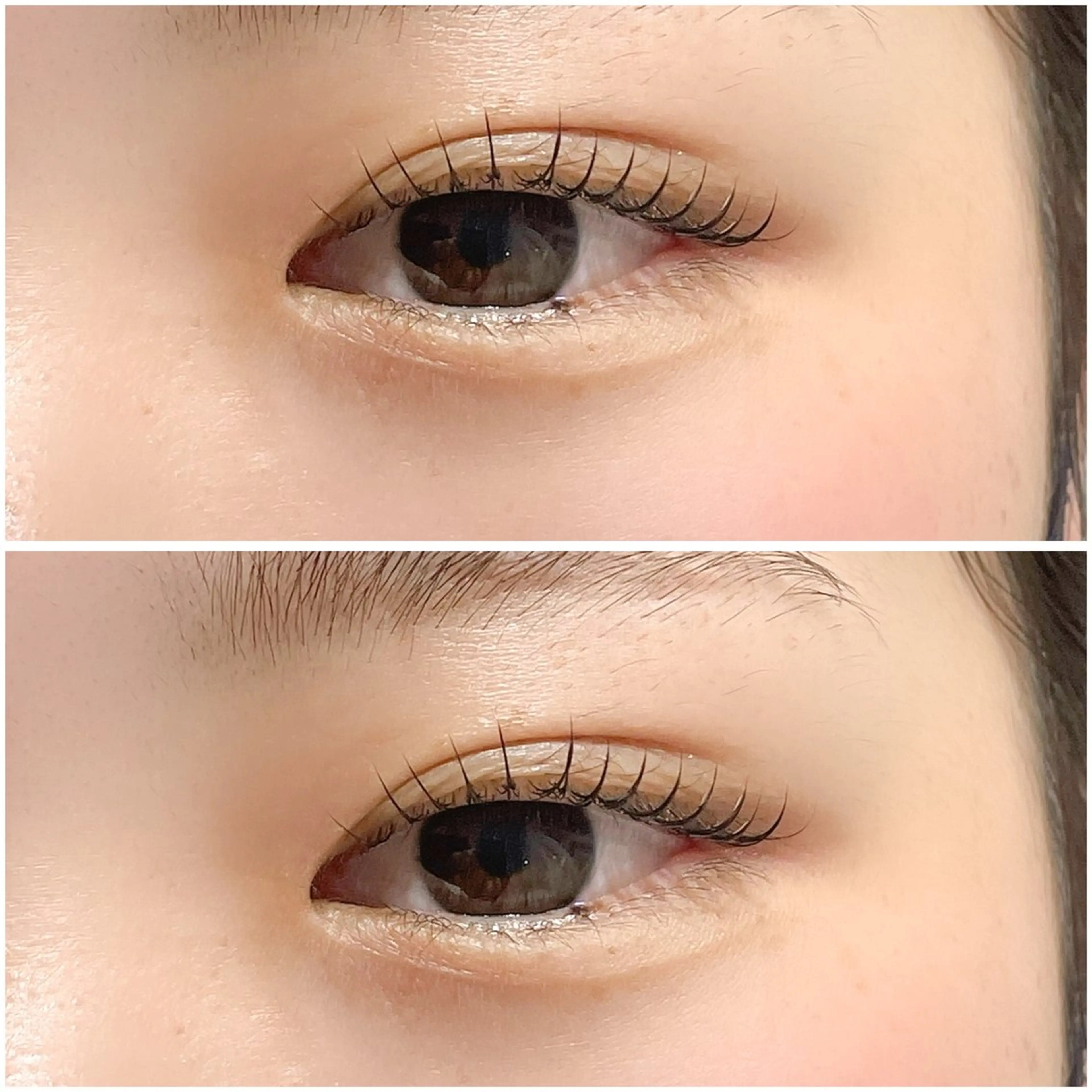 マツエク・マツパ ナチュラル 一重×まつ毛パーマ 🤍Anna仙台店 田代 美咲‎🤍のマツエク・マツパデザイン