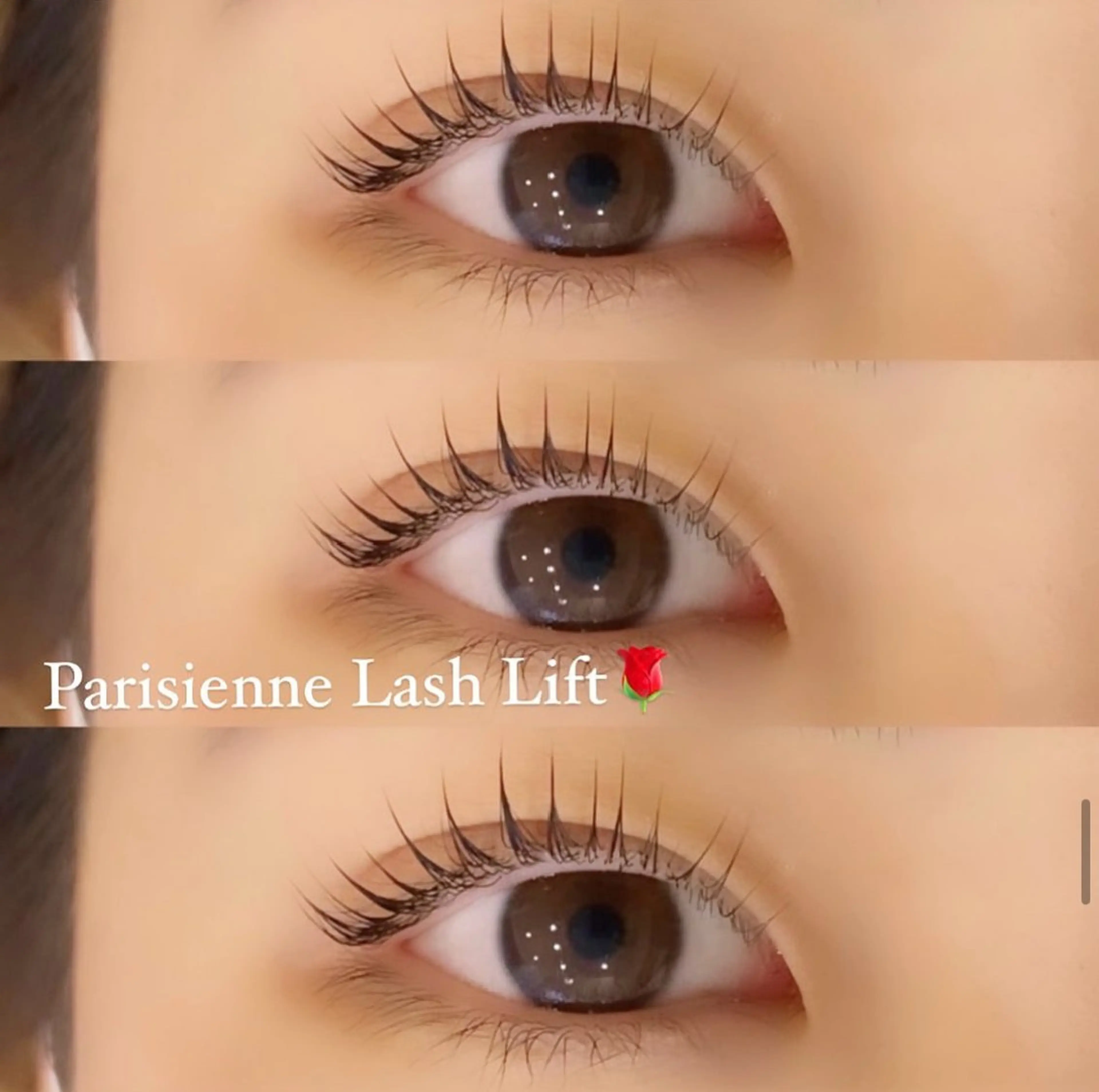 パリエク60束🦋（シングルエクステ120本程のボリューム）【美容液コーティング付き】の写真