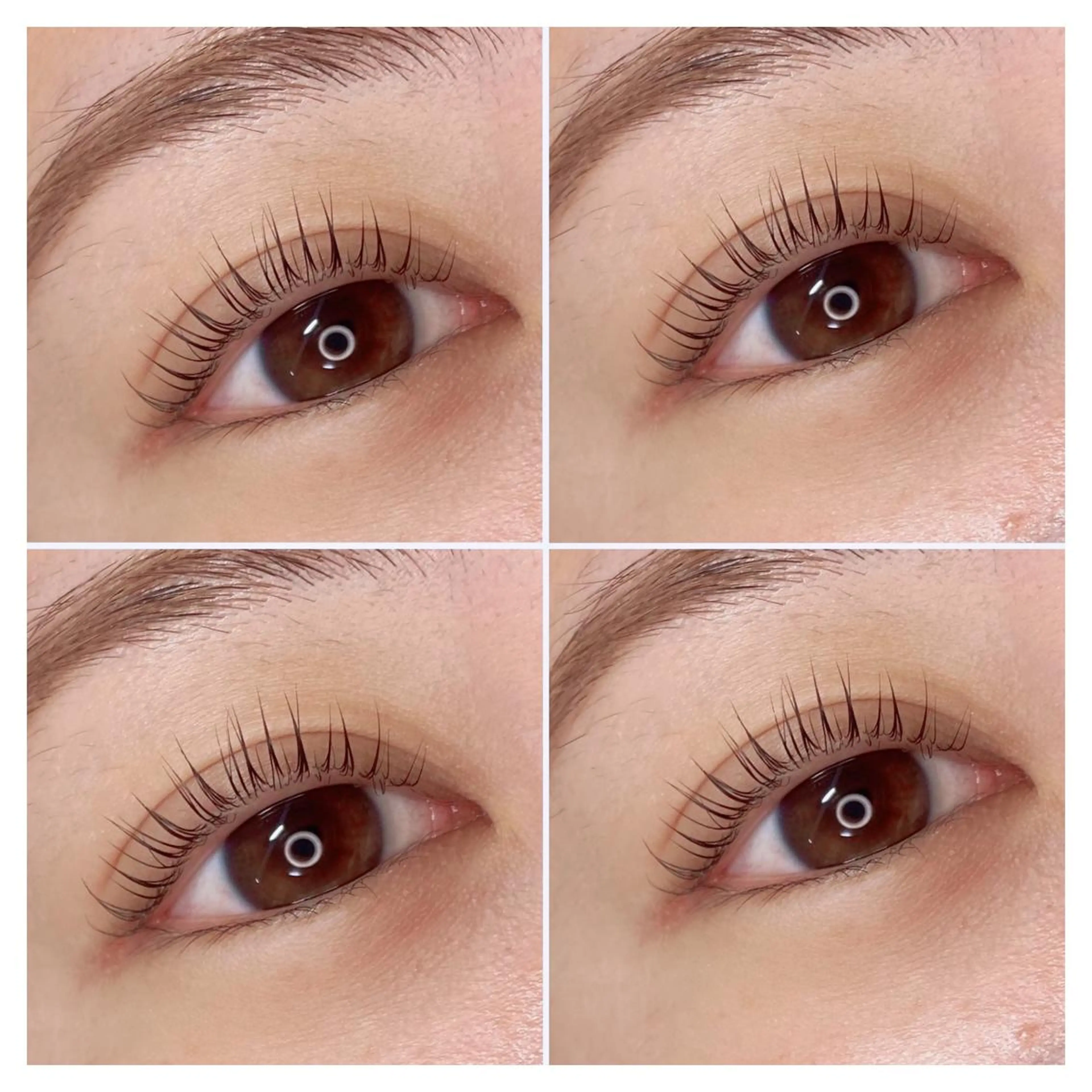 マツエク・マツパ アイラッシュサロン ベル所属・belle eyelashの眉毛・アイブロウイメージ