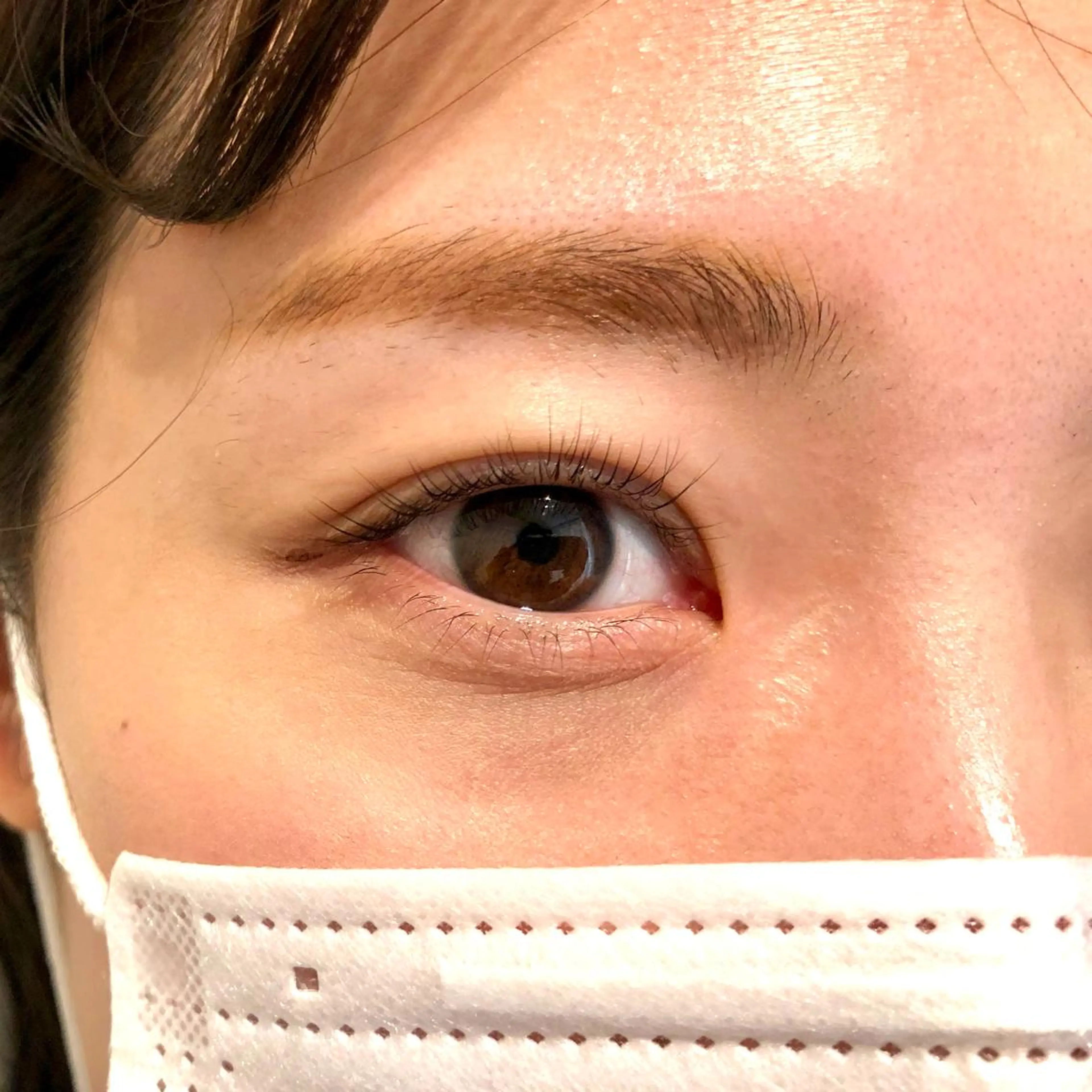 🌷次世代まつ毛パーマ🌷セラムラッシュリフト(上下)の写真