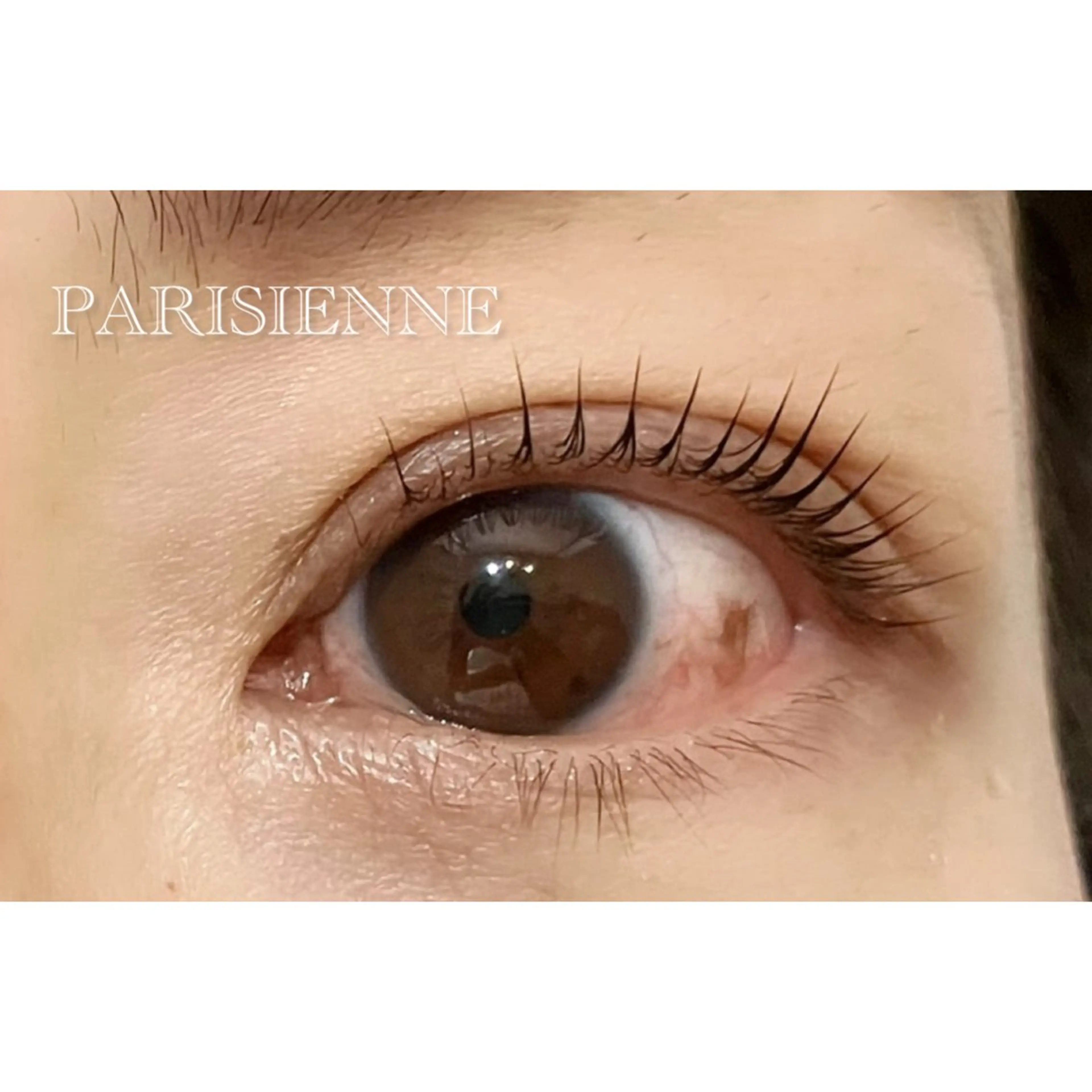 マツエク・マツパ マツパ 🦋LOARK eyelash.梶川のマツエク・マツパデザイン