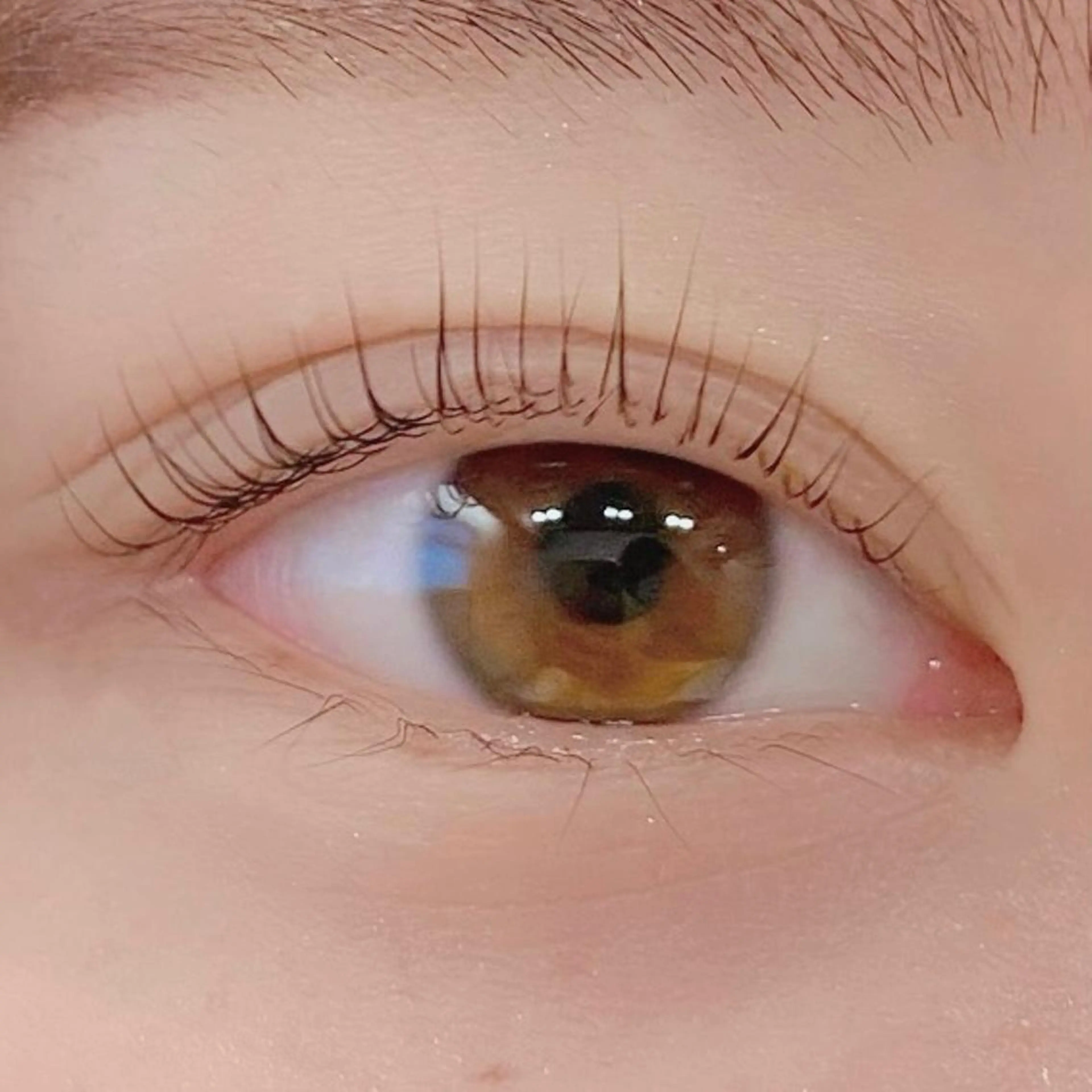 マツエク・マツパ パリジェンヌラッシュリフト マツパ 清水 あやねのマツエク・マツパデザイン