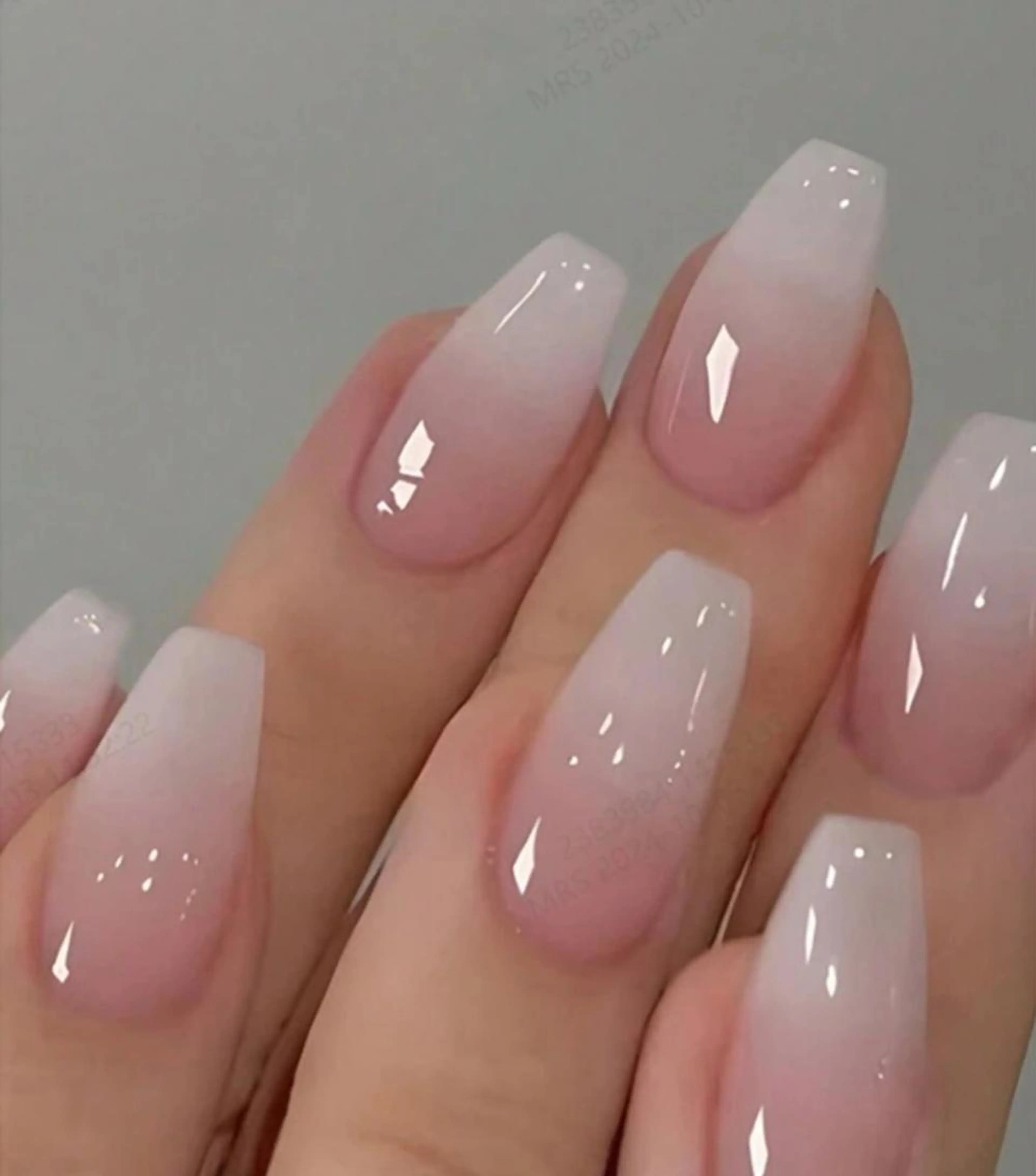 清楚系👶ベイビーブーマーの写真