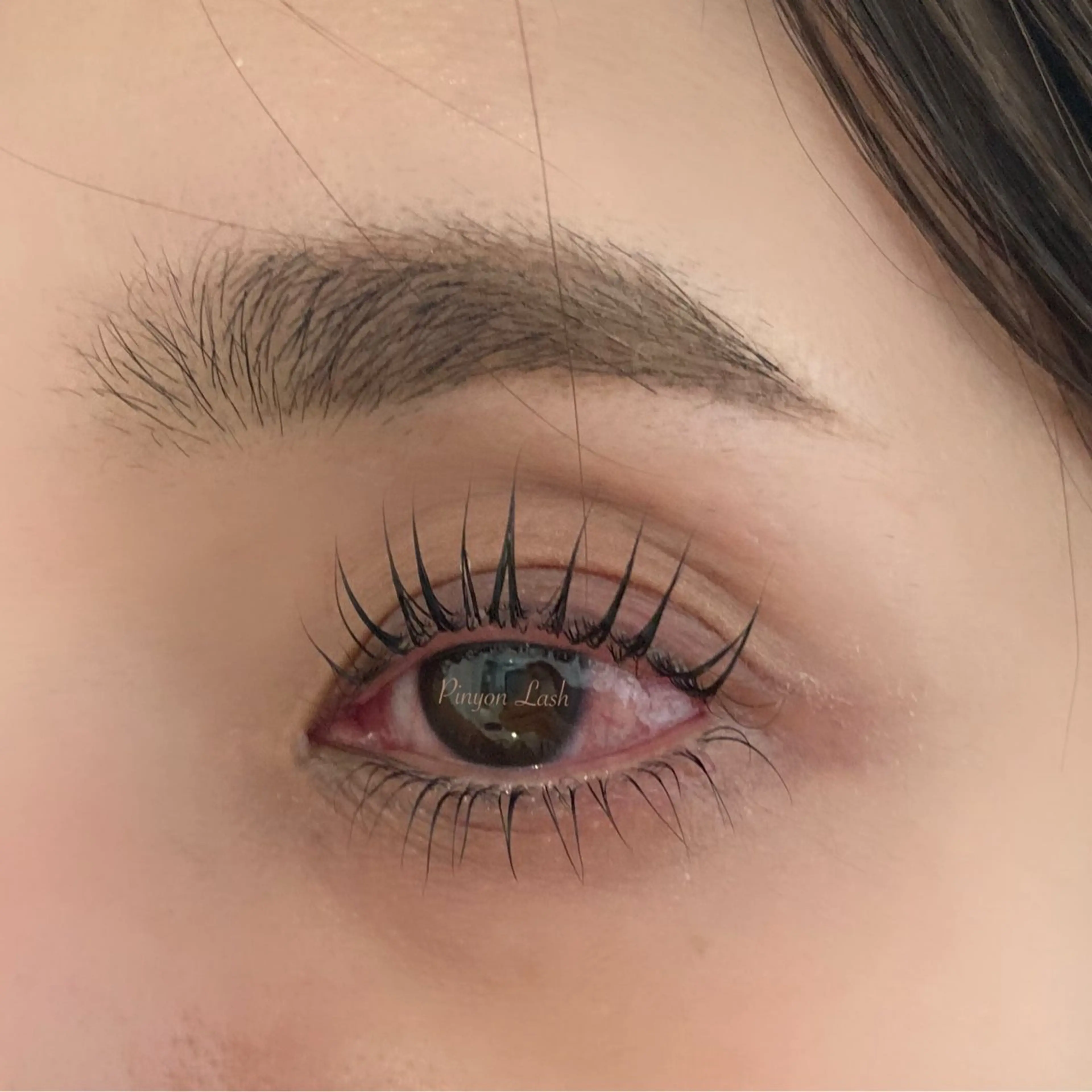 ✨ミニモ限定マツパ上下✨まつげケアトリートメント付¥7000の写真