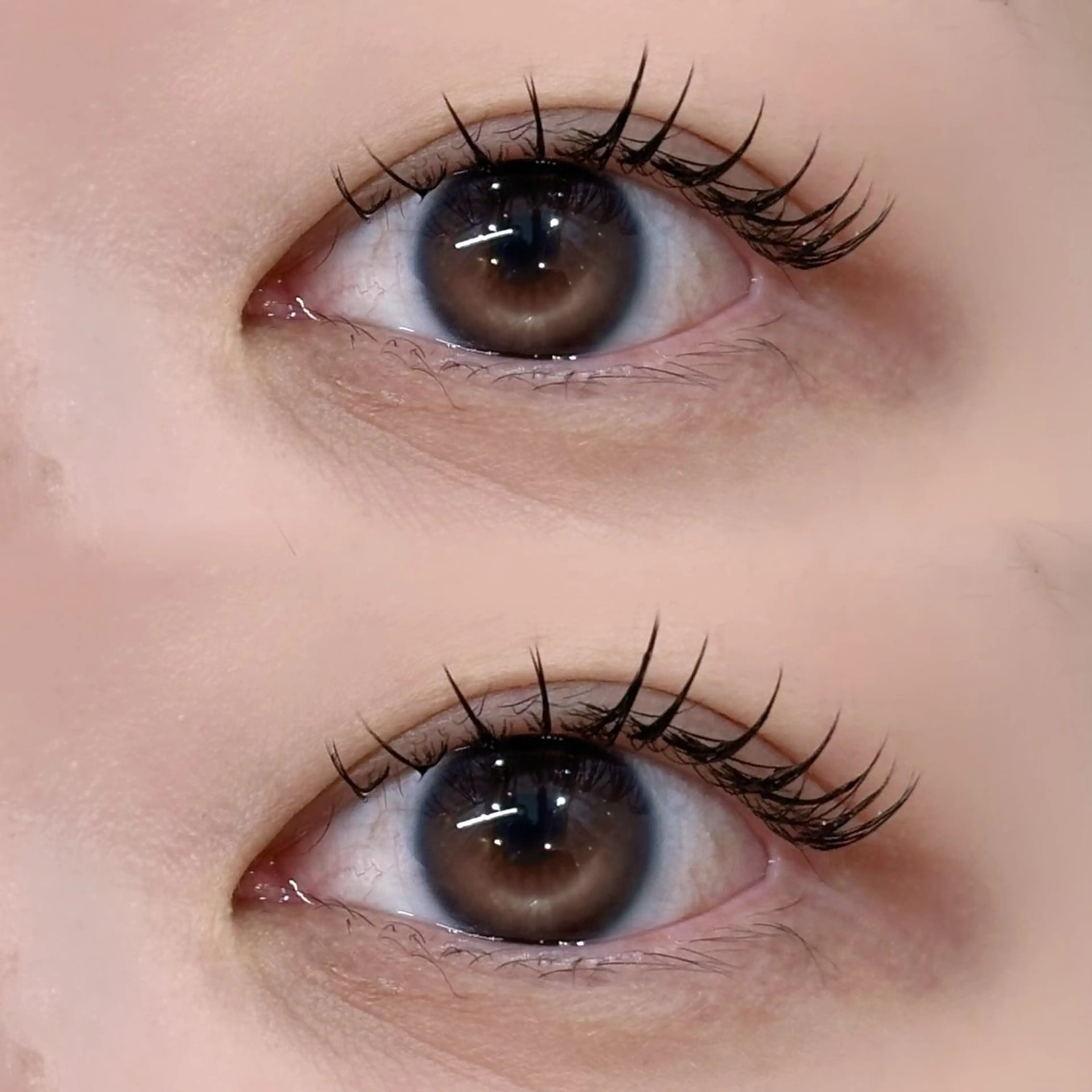 マツエク・マツパ LAYLA 🤍の眉毛・アイブロウイメージ